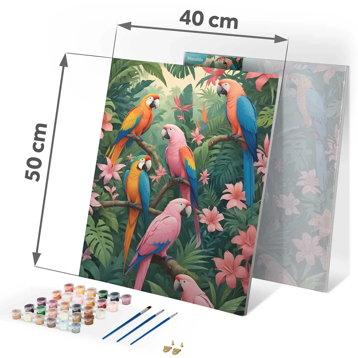Paveikslas tapyti pagal skaičius 40x50 cm Massido Papugi - nuotrauka 1