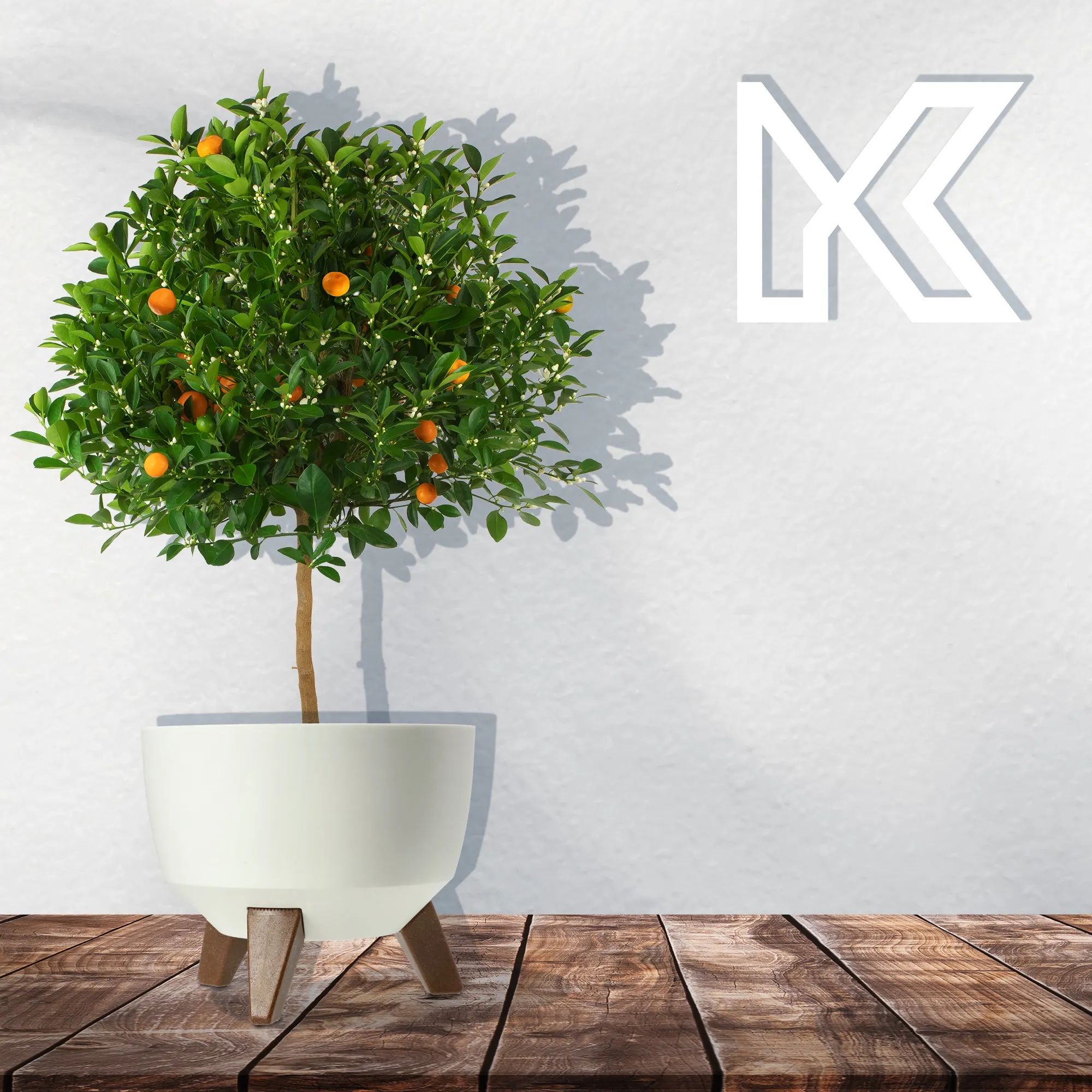 Luri gėlių dubuo su kojelėmis 24 cm