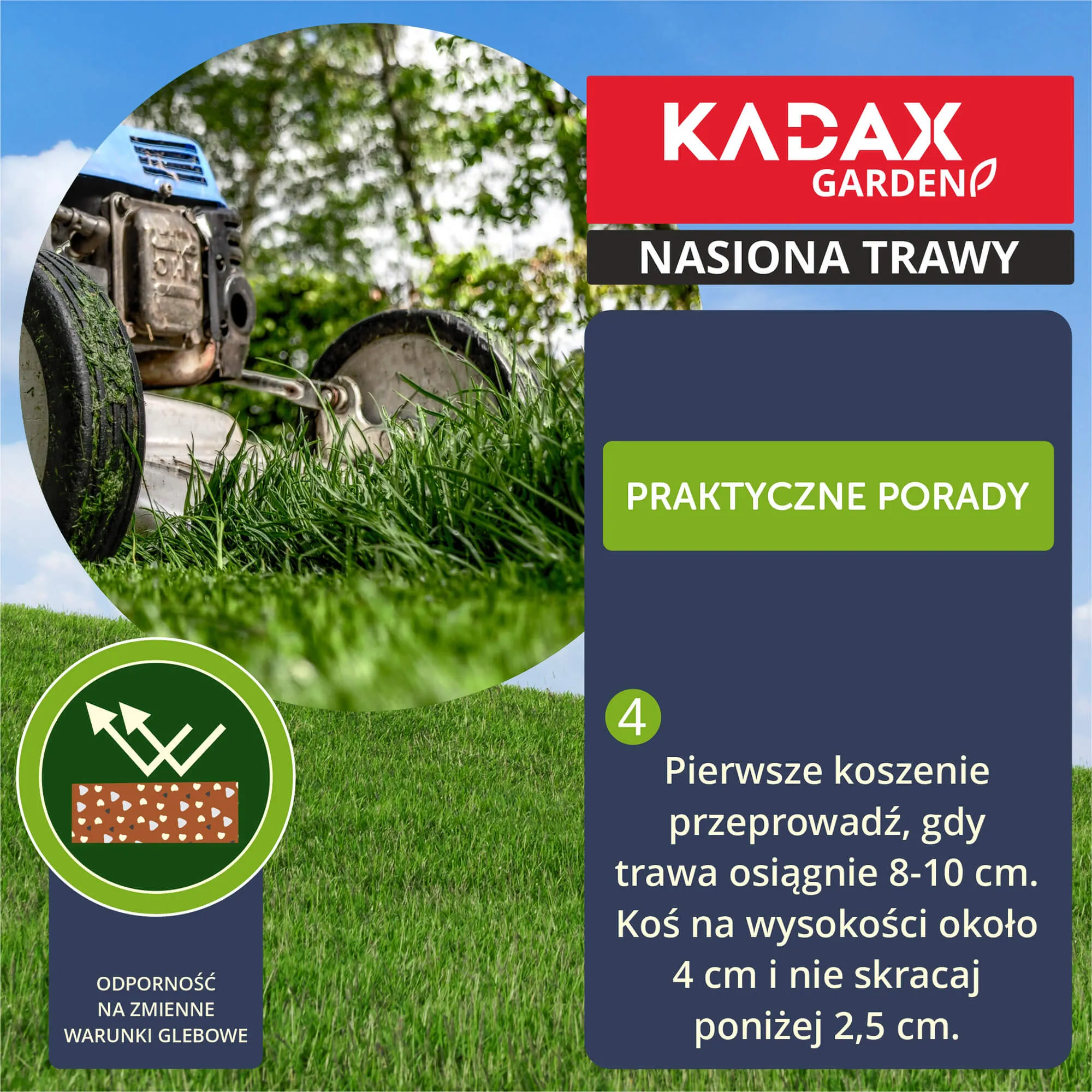 Sportinė žolė 5 kg