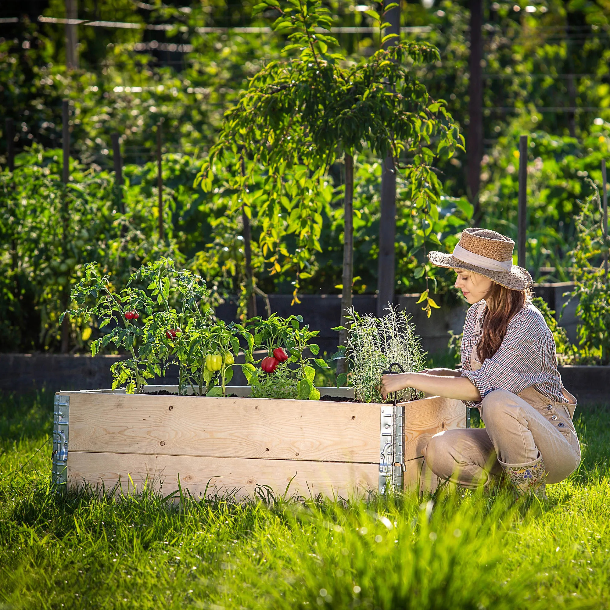 Banari sodo krašto padėklo prailginimas, 2 vnt., 120x80x20cm