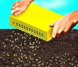 Barenbrug Shadow&Sun 5 kg pavėsiui ir saulei atspari žolė