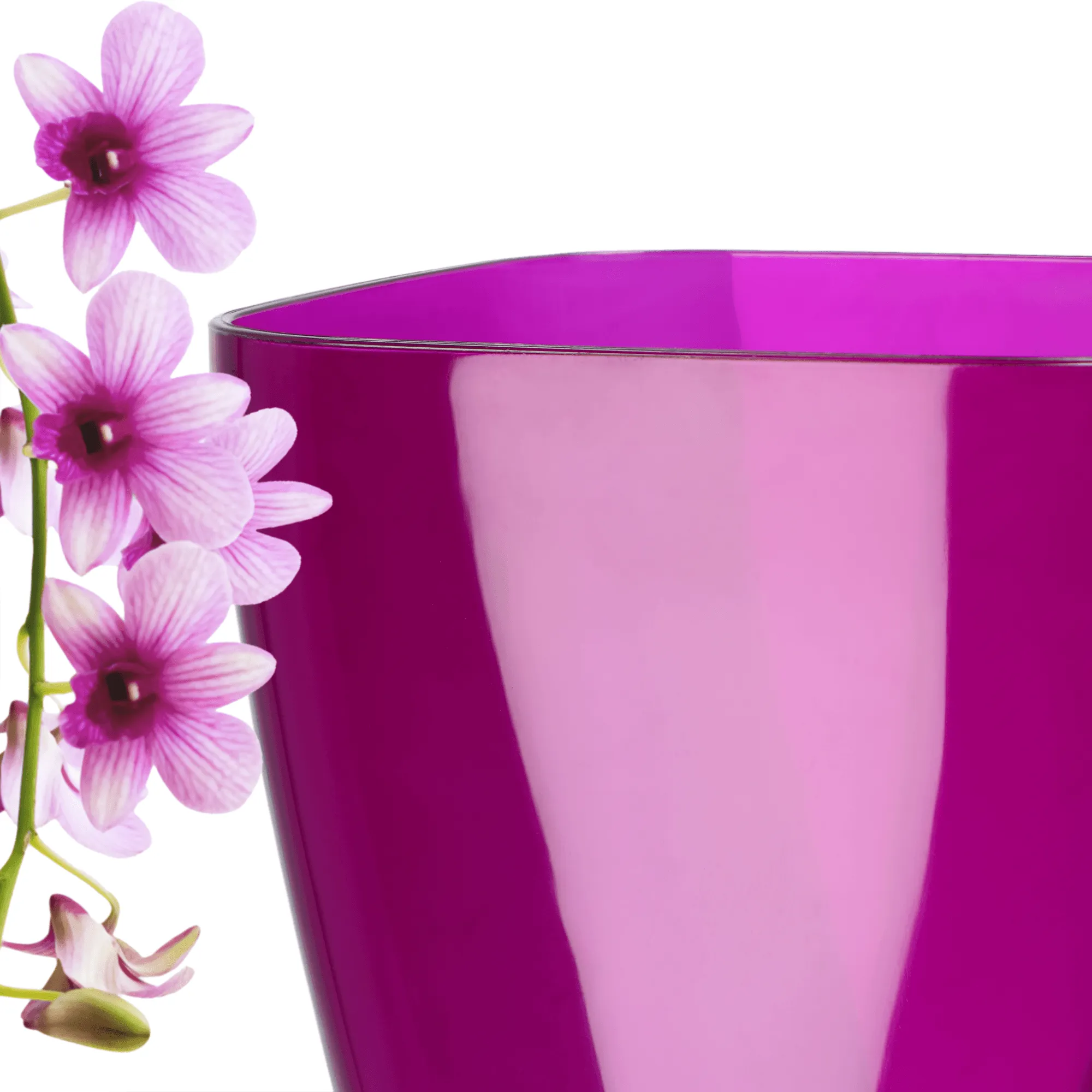 Menfi kvadratinis vazonas 12 cm