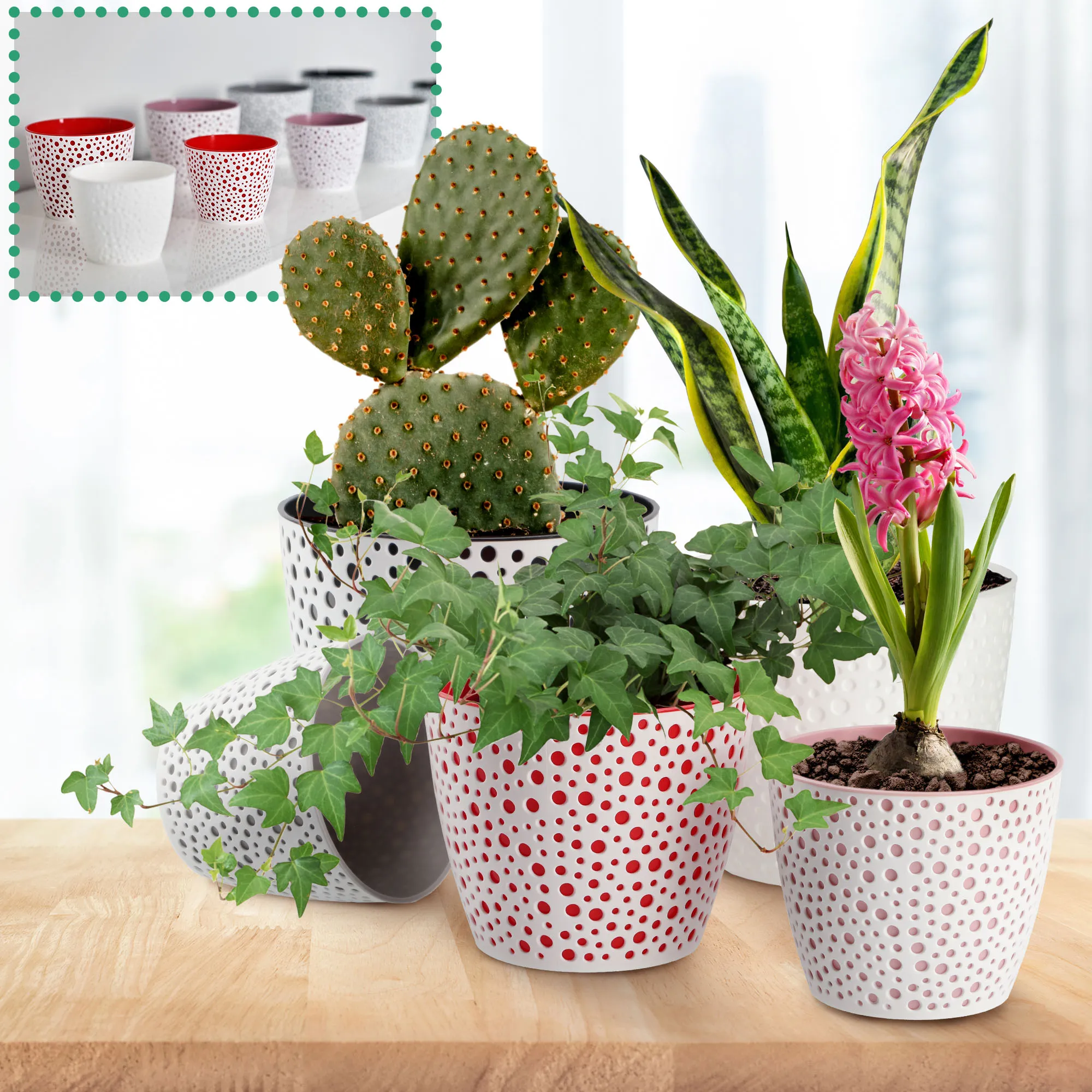 Casini gėlių vazonas 13 cm