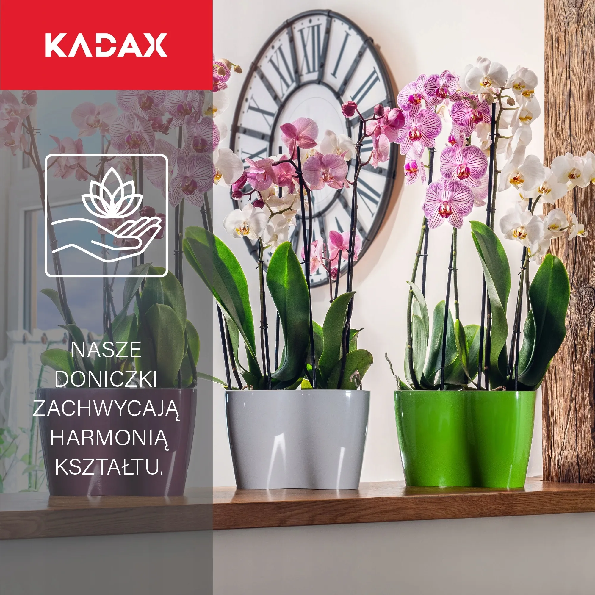 Fermo dvigubas orchidėjų vazonas 23 x 15 cm