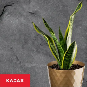 Amily gėlių vazonas su lėkštute 18 cm