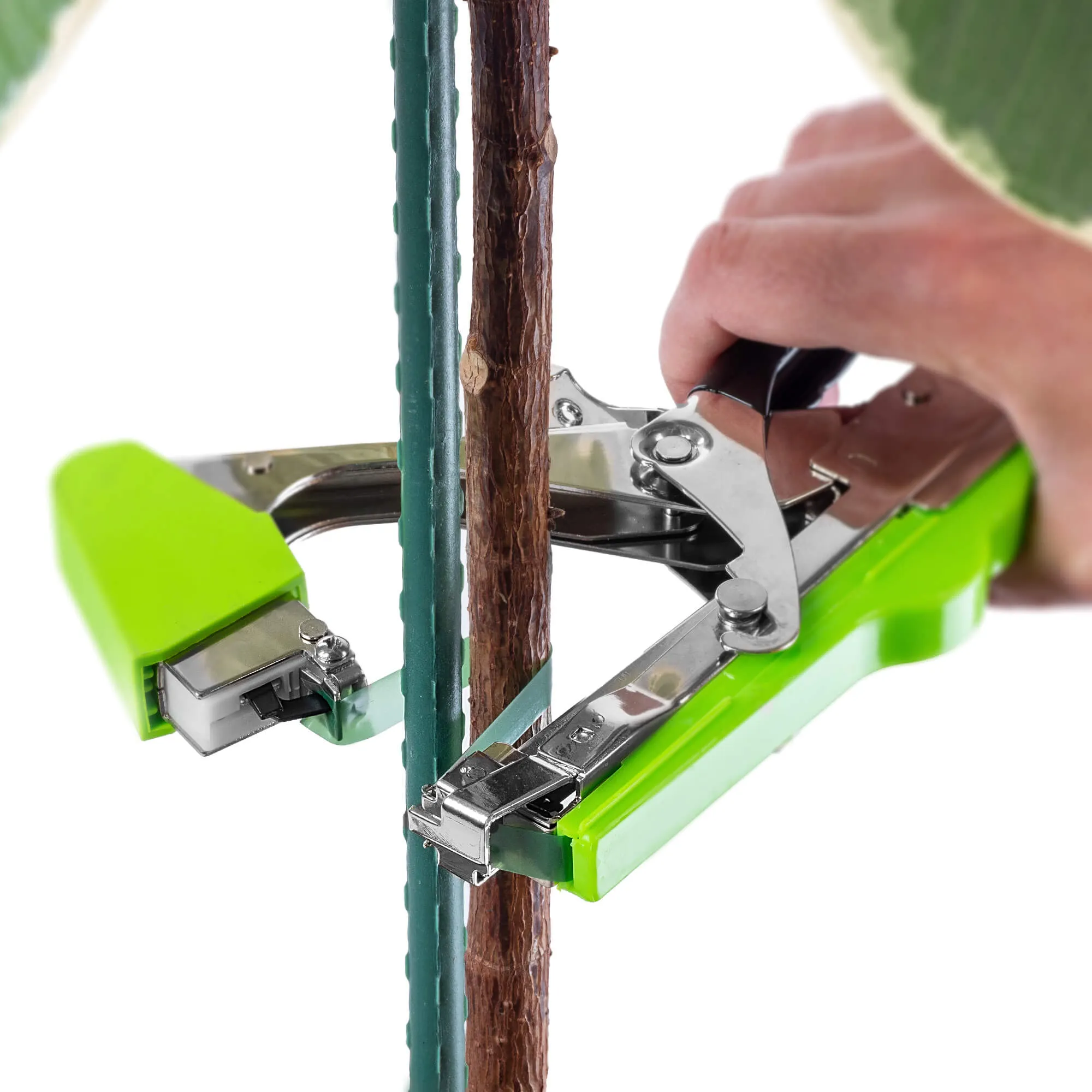 Larret sodo segiklio juostų rinkinys, 11 mm x 25 m, žalios, 20 vnt.