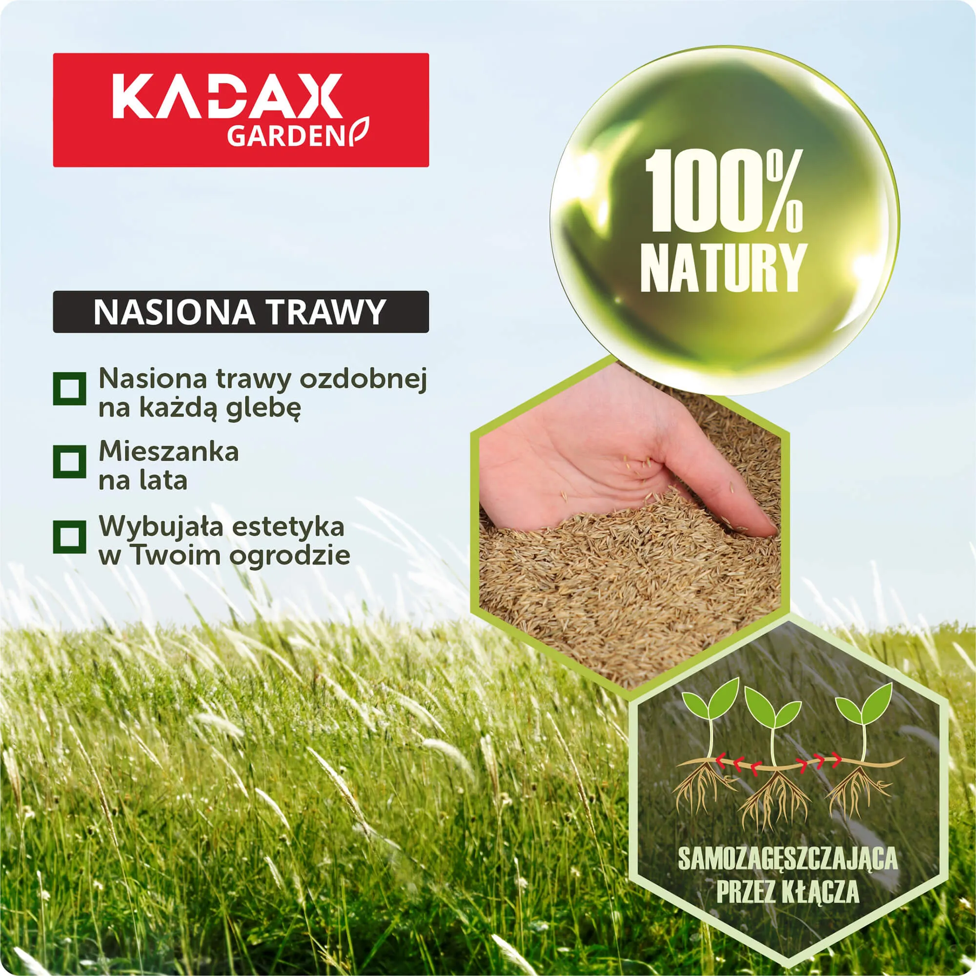 Dekoratyvinė žolė 10 kg