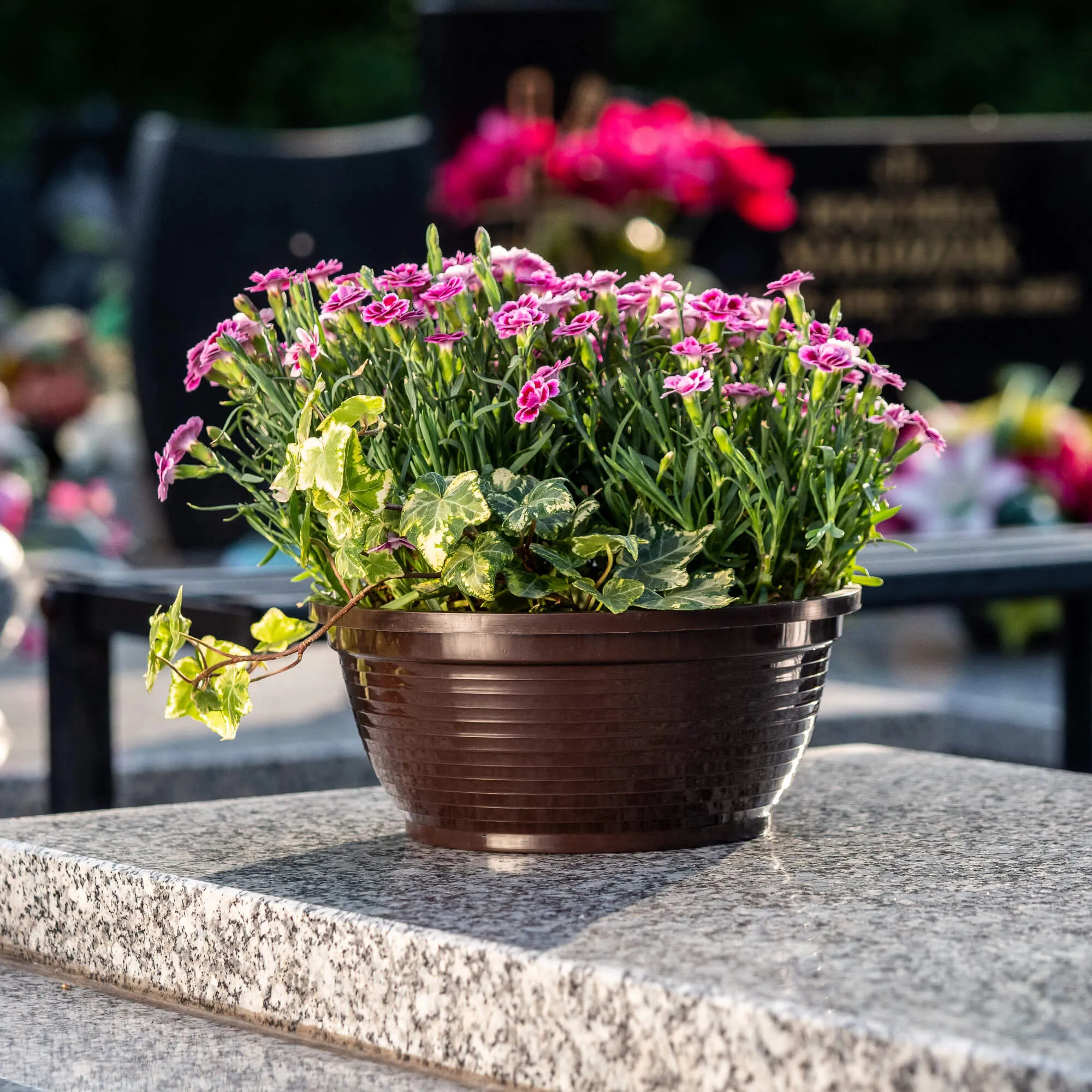 Verna kapinių gėlių dubuo 26 x 12 cm