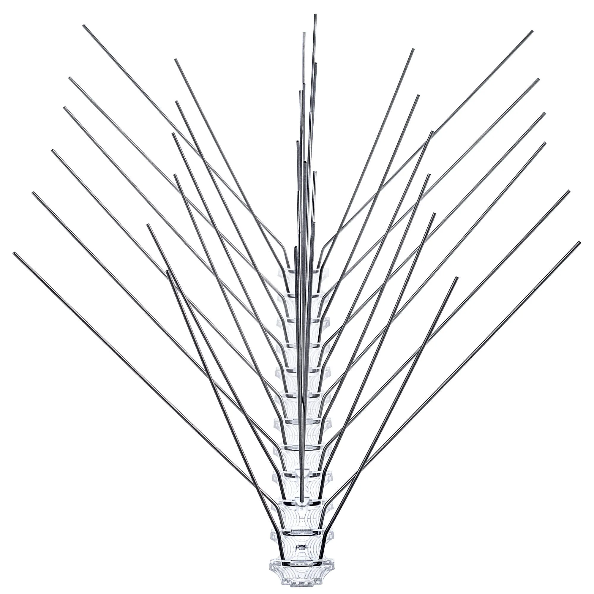Paukščių spygliai 33 x 10 cm, 1 vnt.