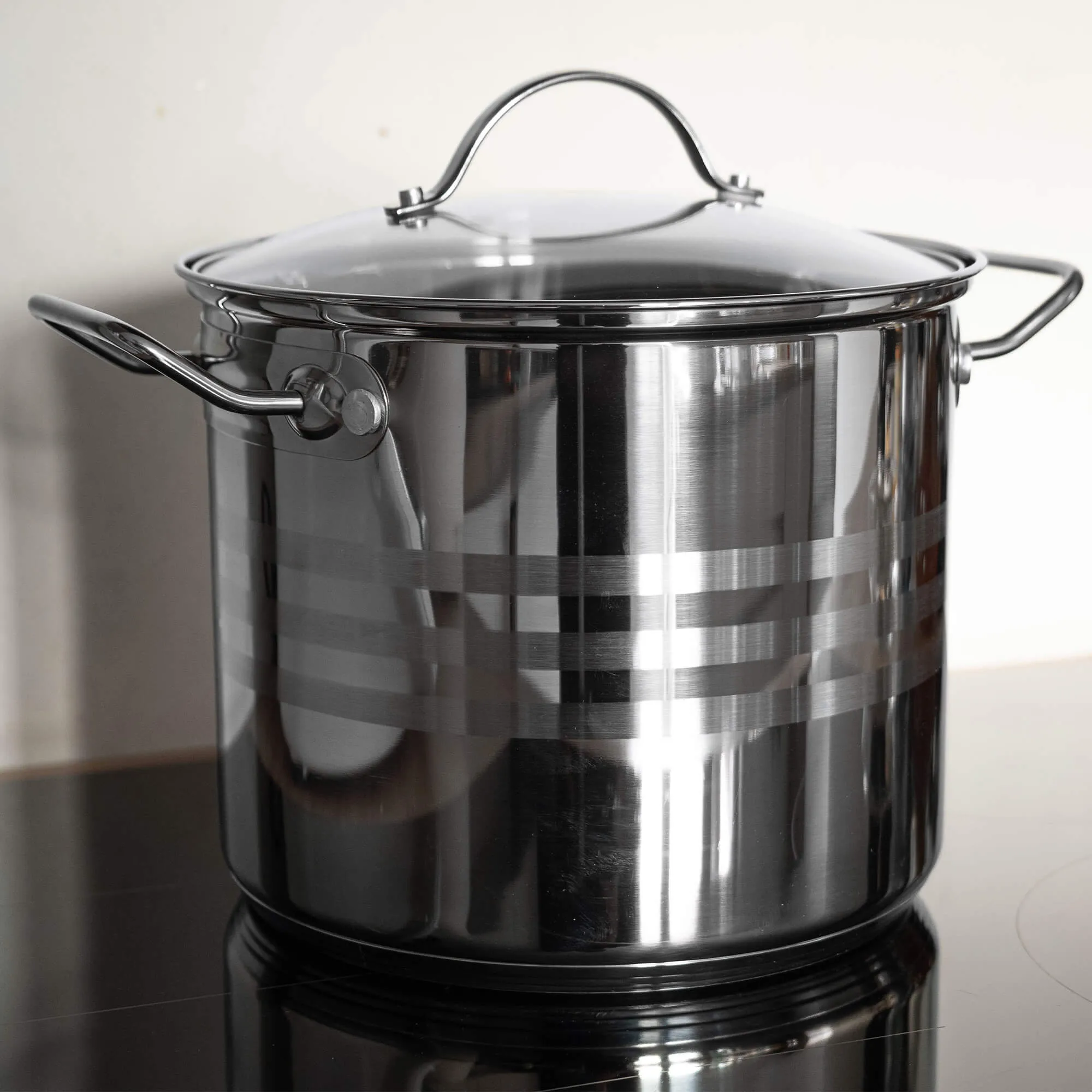Sveg plieninis puodas su dangčiu 6,6 l