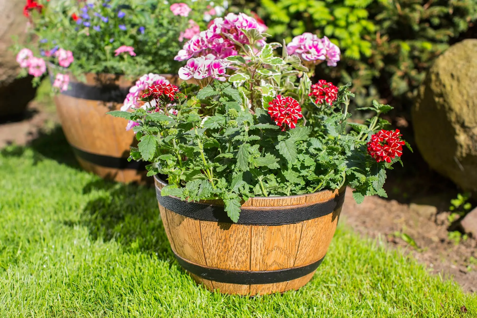 Arro gėlių vazonas 33 cm