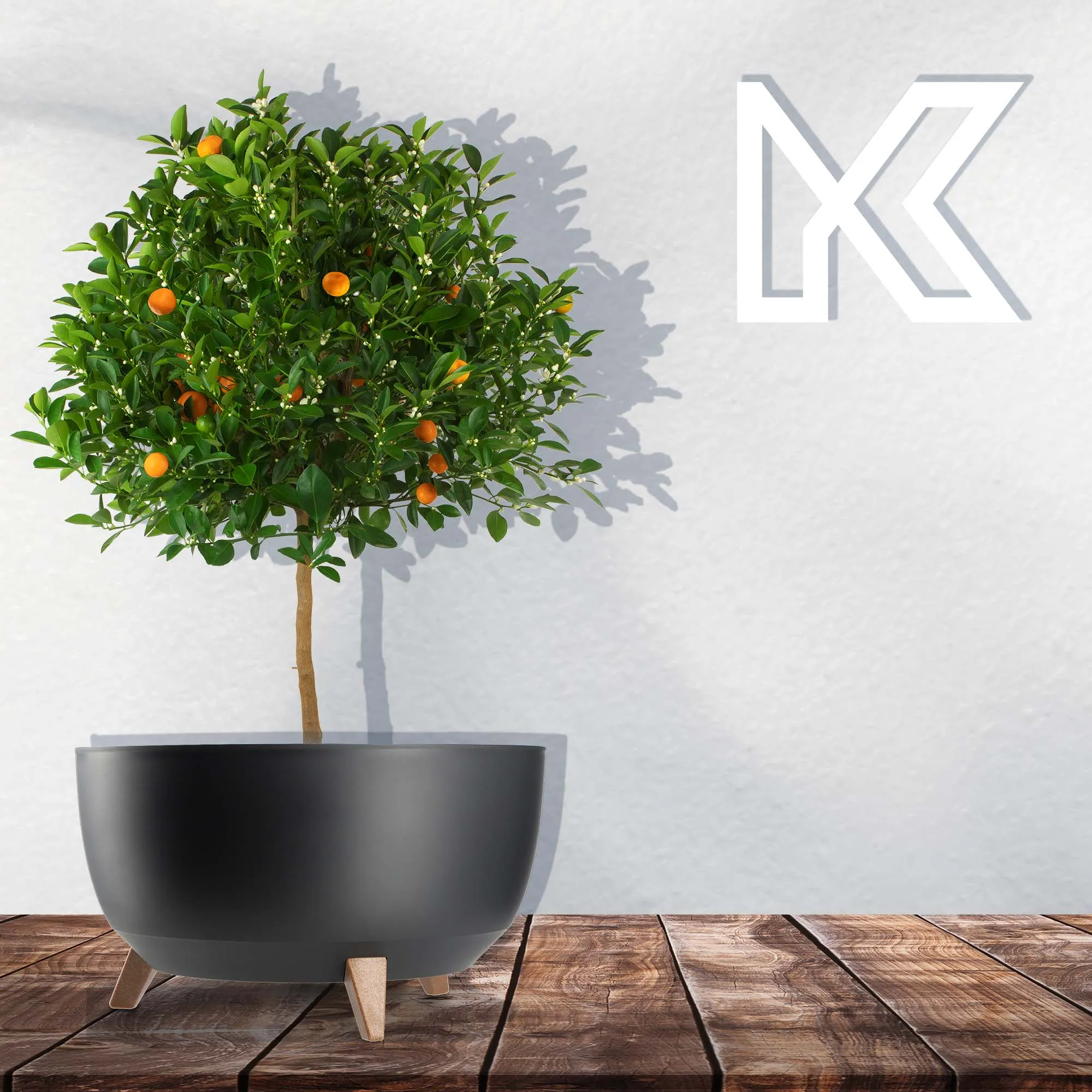 Luri gėlių dubuo su kojelėmis 47 cm