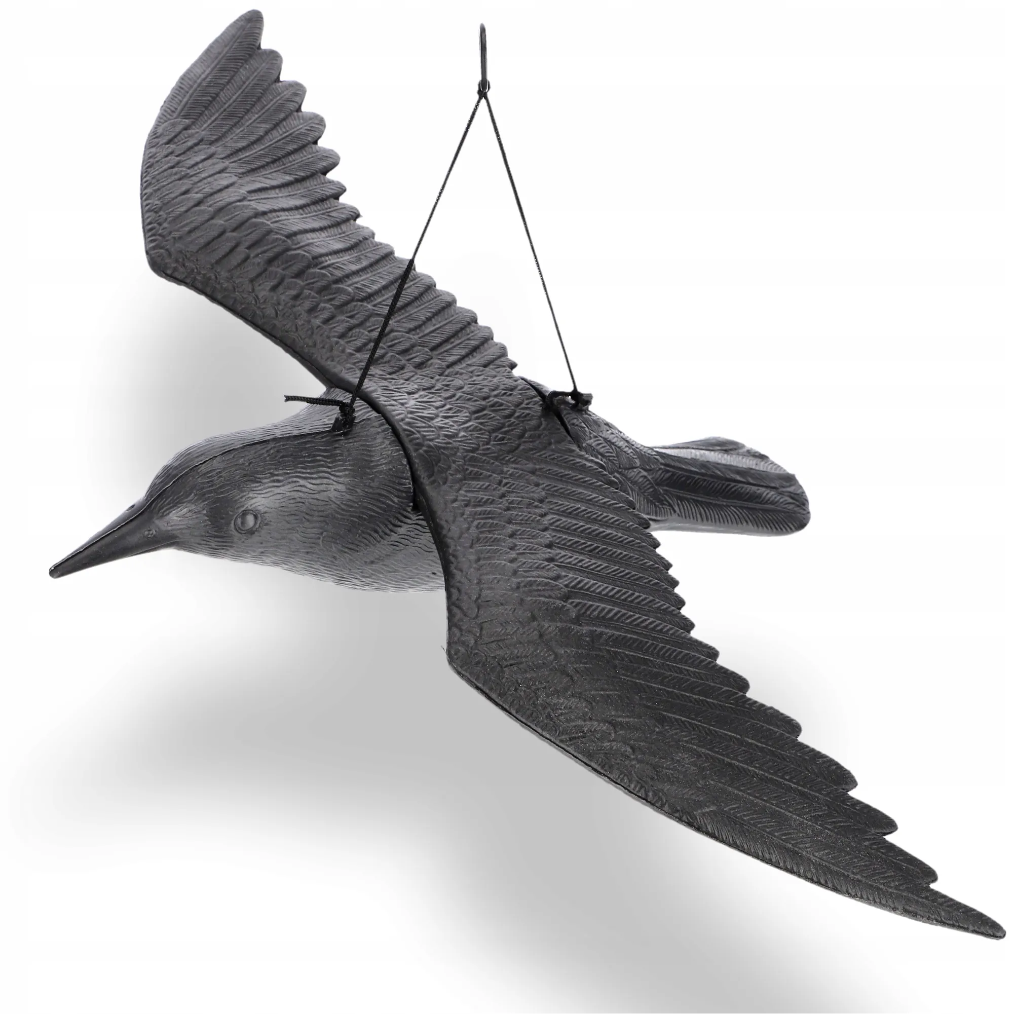 Juodasis varnas, balandžių baidyklė 2 vnt.