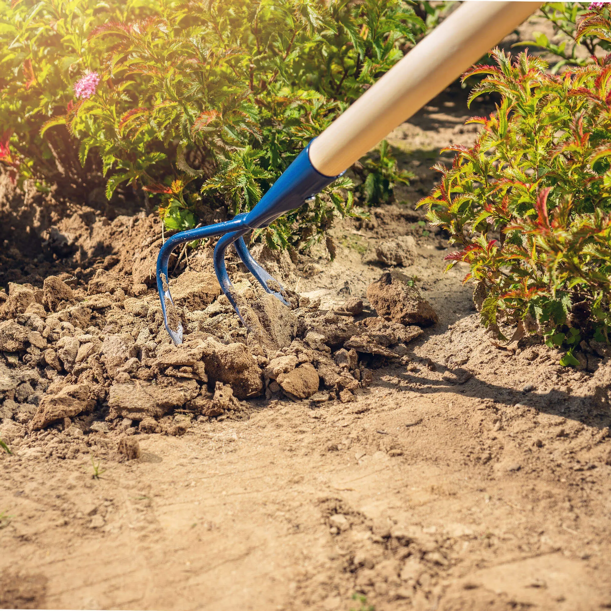 „Cogne“ 3 dantų rankinis kultivatorius, 142 cm, mėlynas