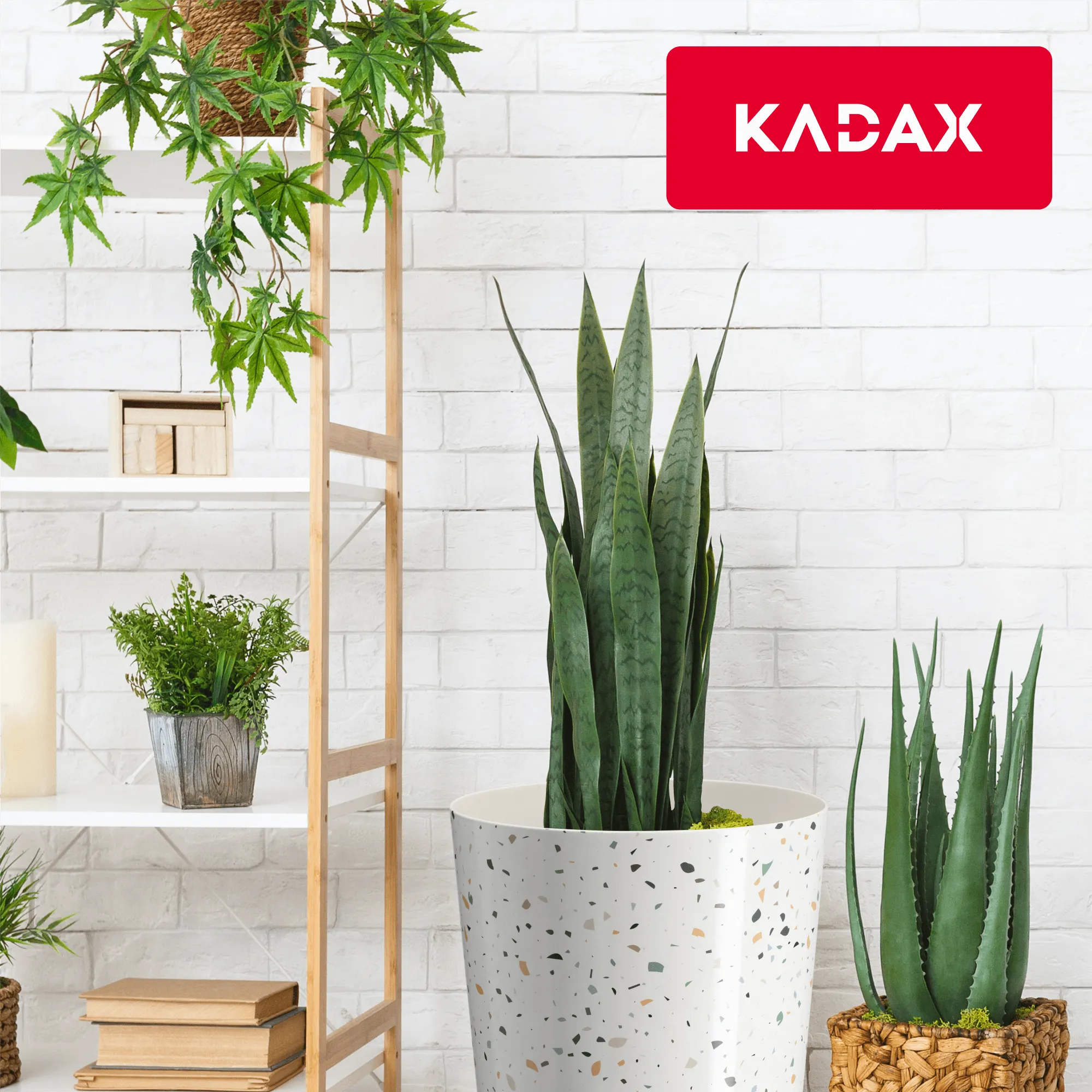 Belvi vazono uždangalas 19 cm