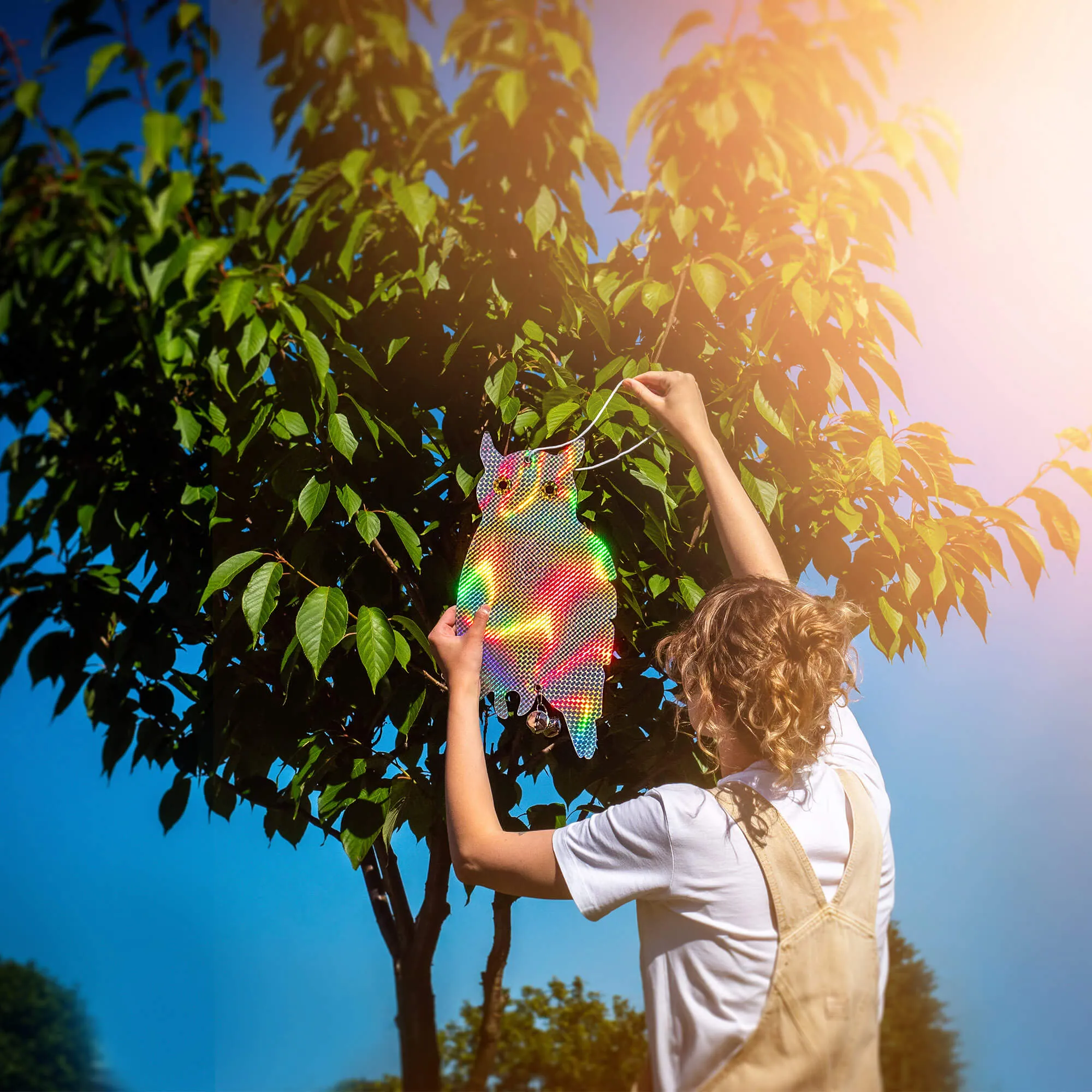 „Meun“ pelėdų paukščių baidyklė 41 x 20 cm 3 vnt.