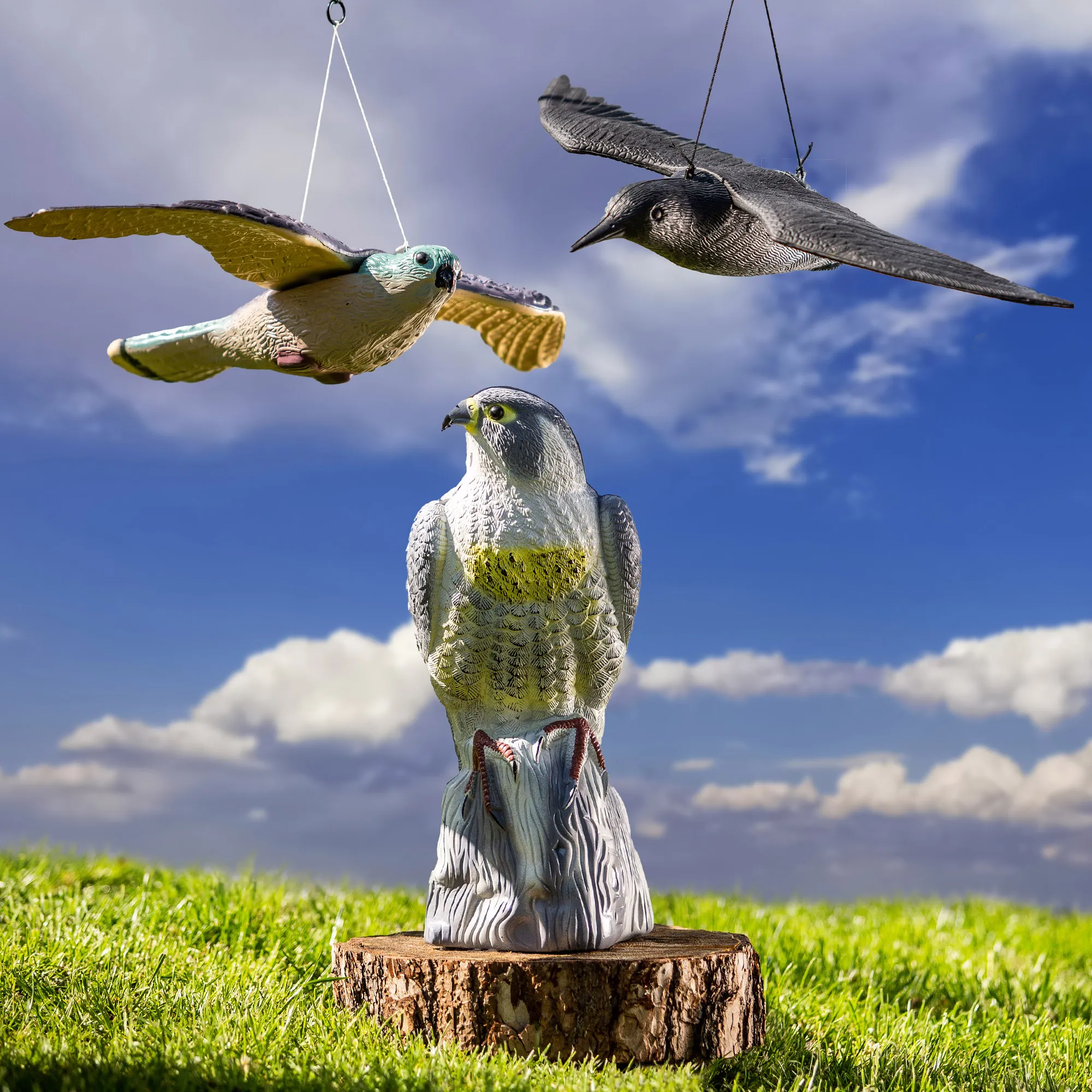 Skraidantis pelėsakalis 54 cm, vanago, balandžio ir paukščių baidytuvas