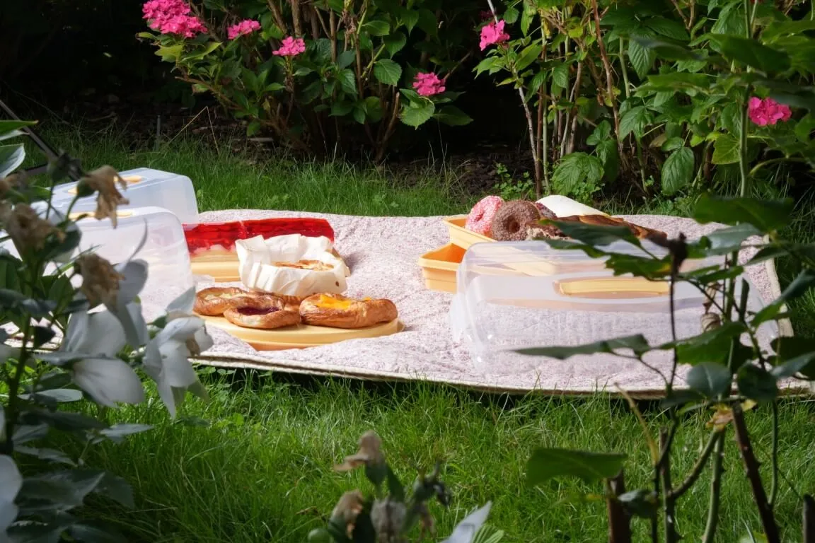 Curver stovyklavimo komplektas geltonas