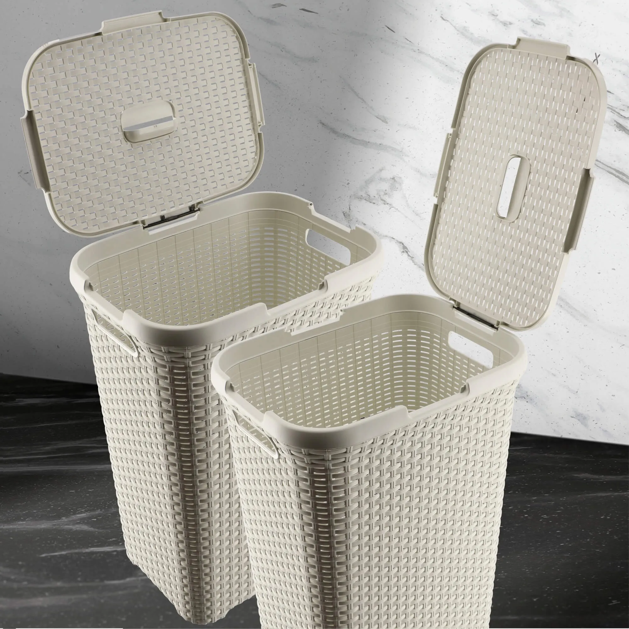 „Curver Natural Style“ 60 litrų krepšeliai su dangčiu, spalvų mišinys, 2 vnt.