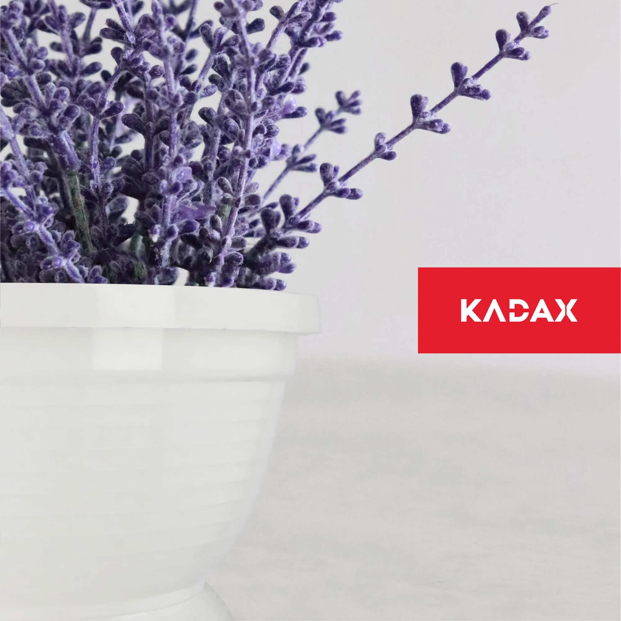 Verna kapinių gėlių dubuo 22 x 10 cm