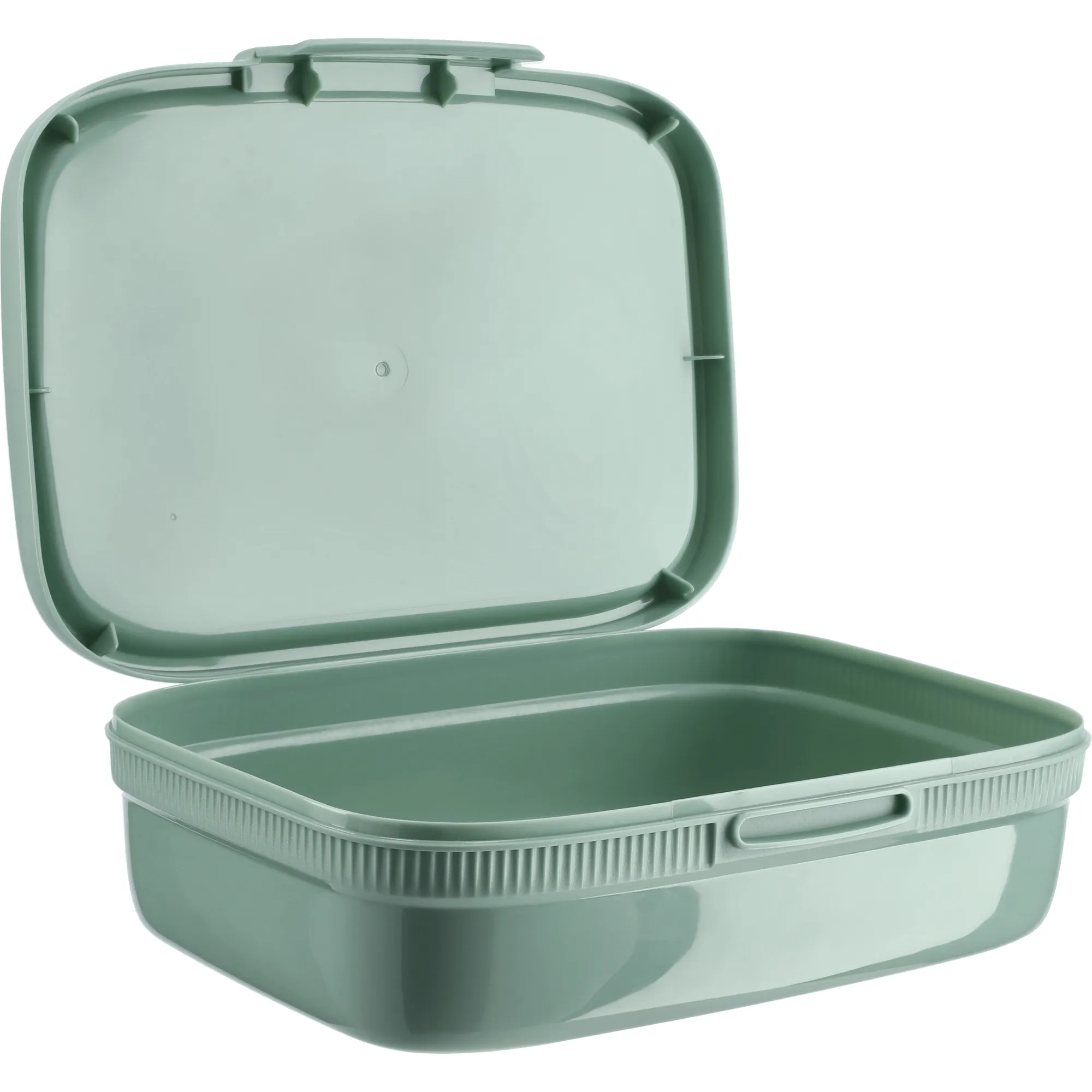 „Curver Snap Box“ 1,3 l stačiakampis maisto indas vaikams