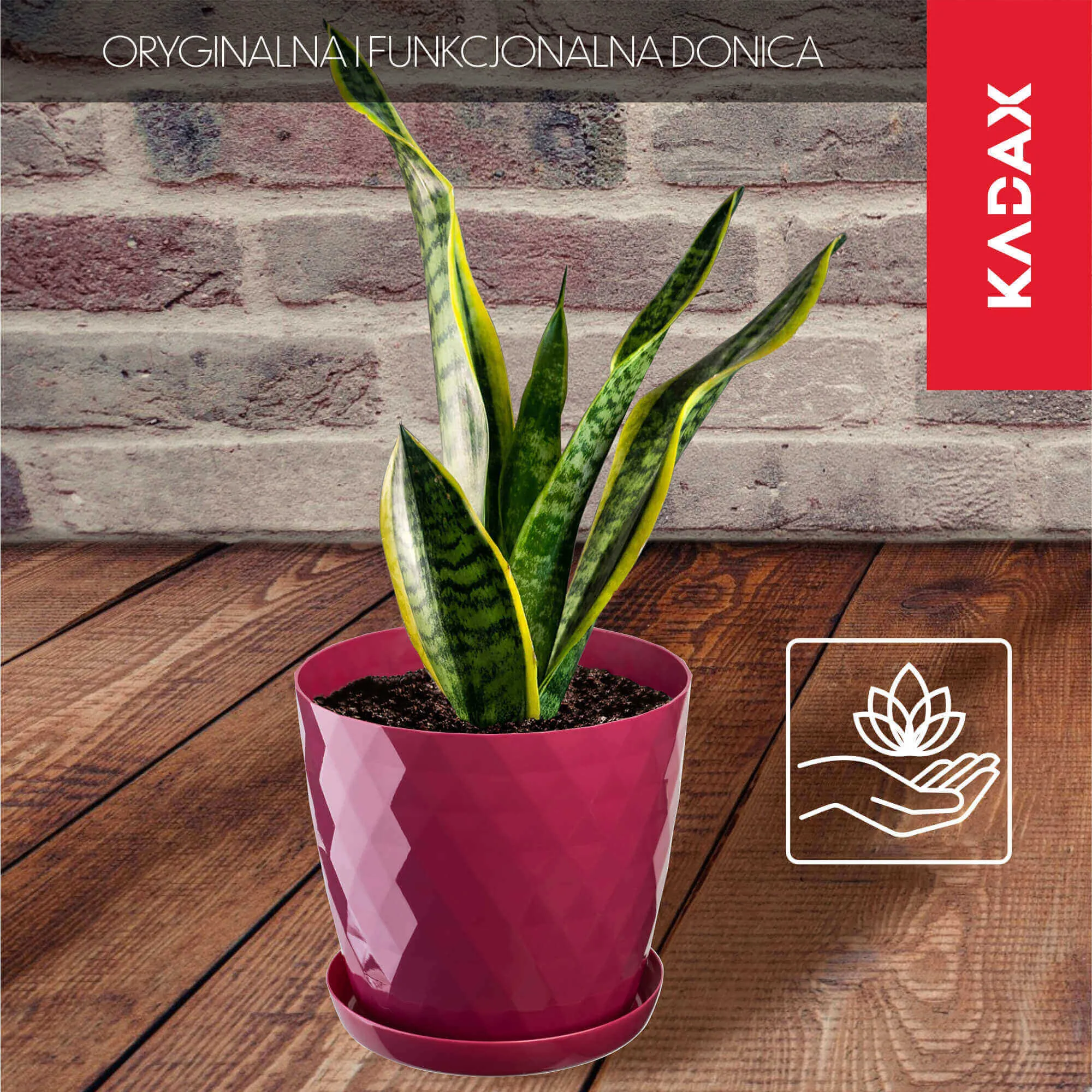 Amily gėlių vazonas su lėkštute 20 cm