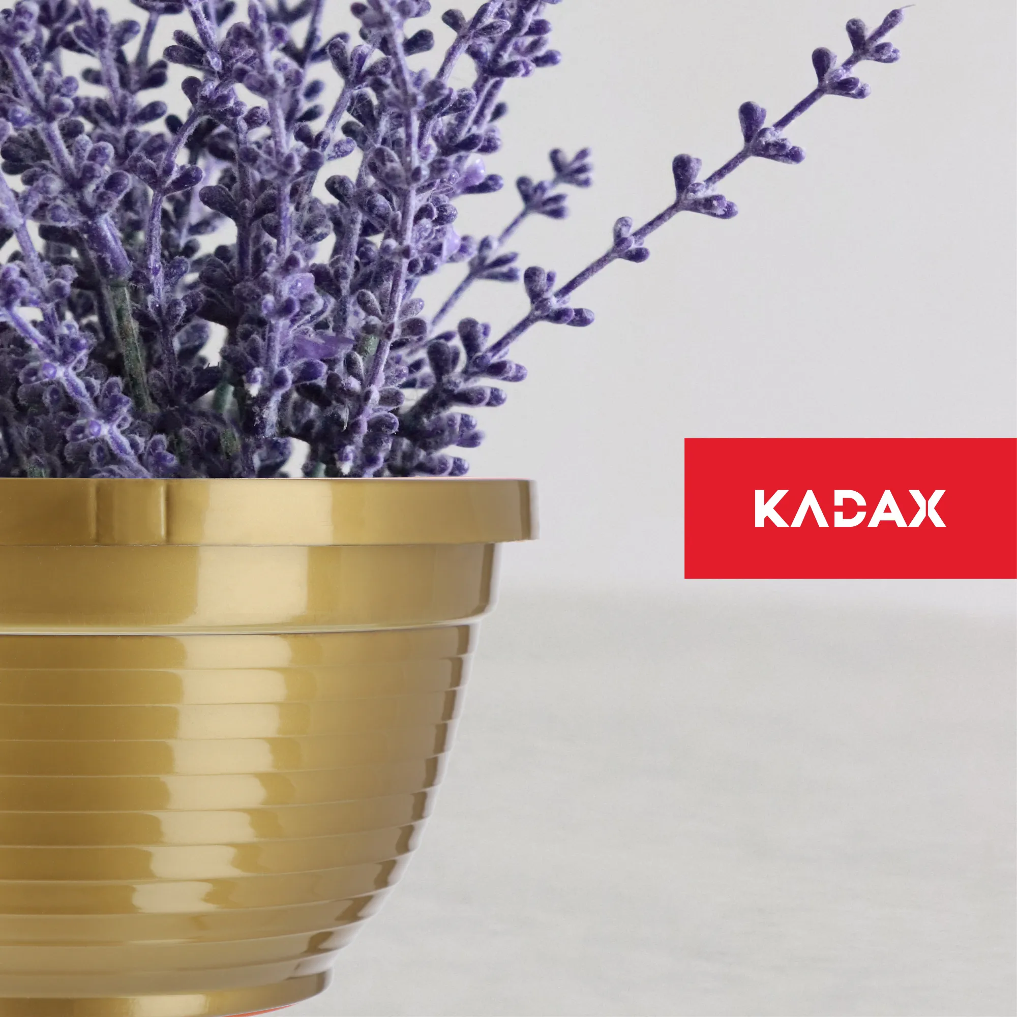 Verna kapinių gėlių dubuo 22 x 10 cm