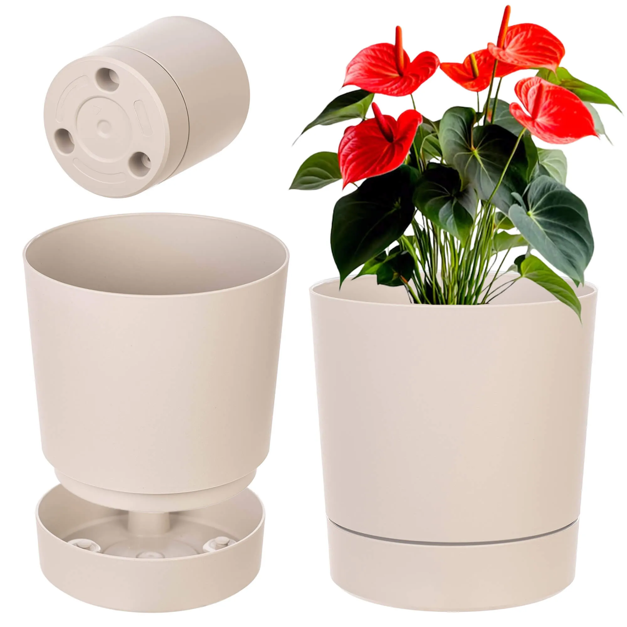 Verri vazonas su lėkštute