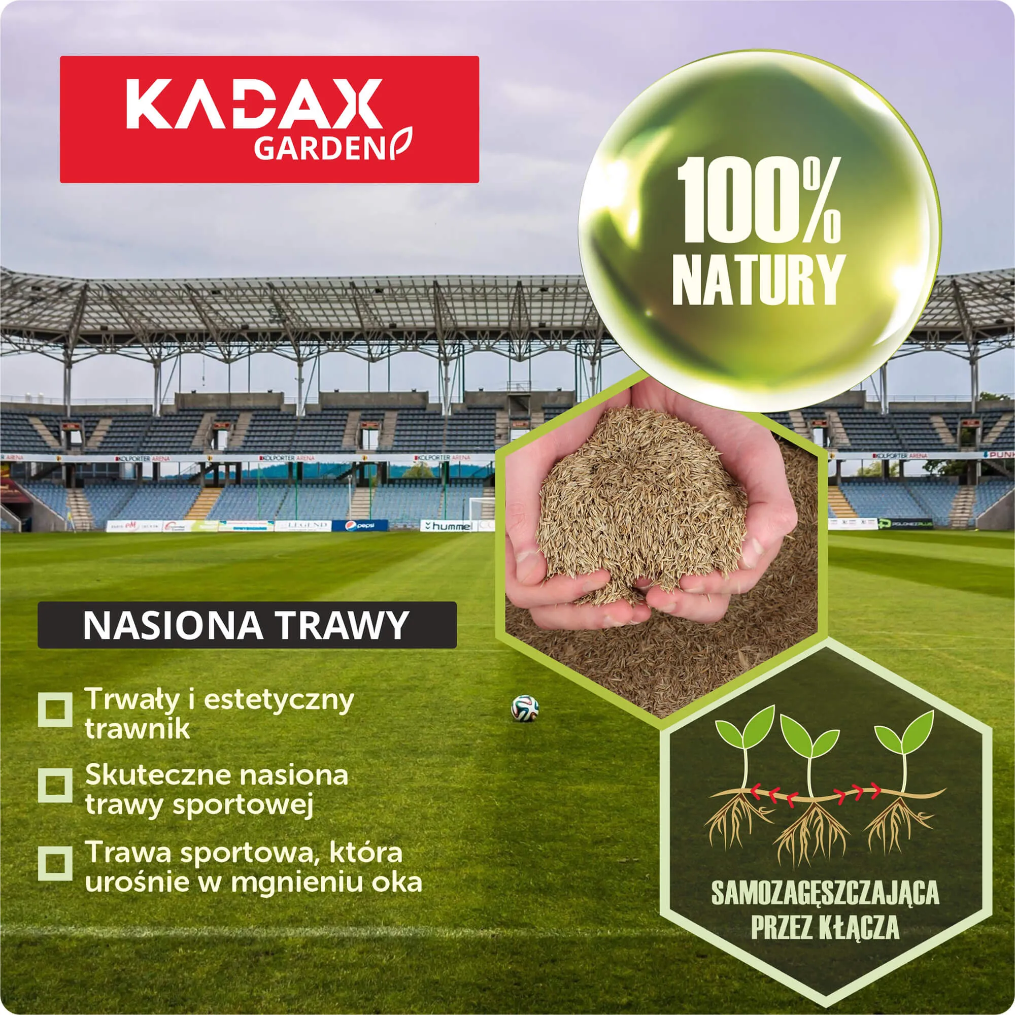 Sportinė žolė 10 kg