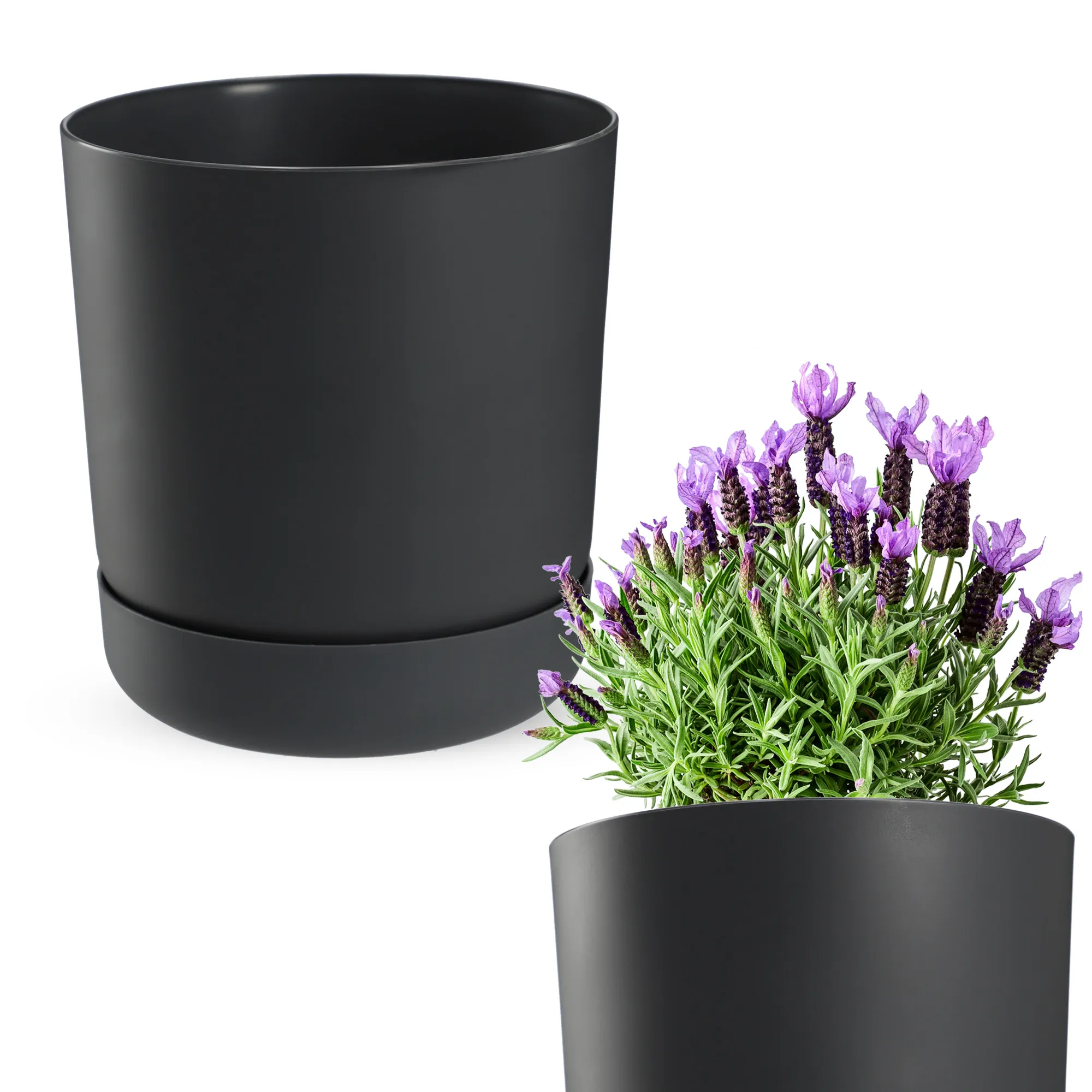 Kama vazonas su lėkštute 25 cm