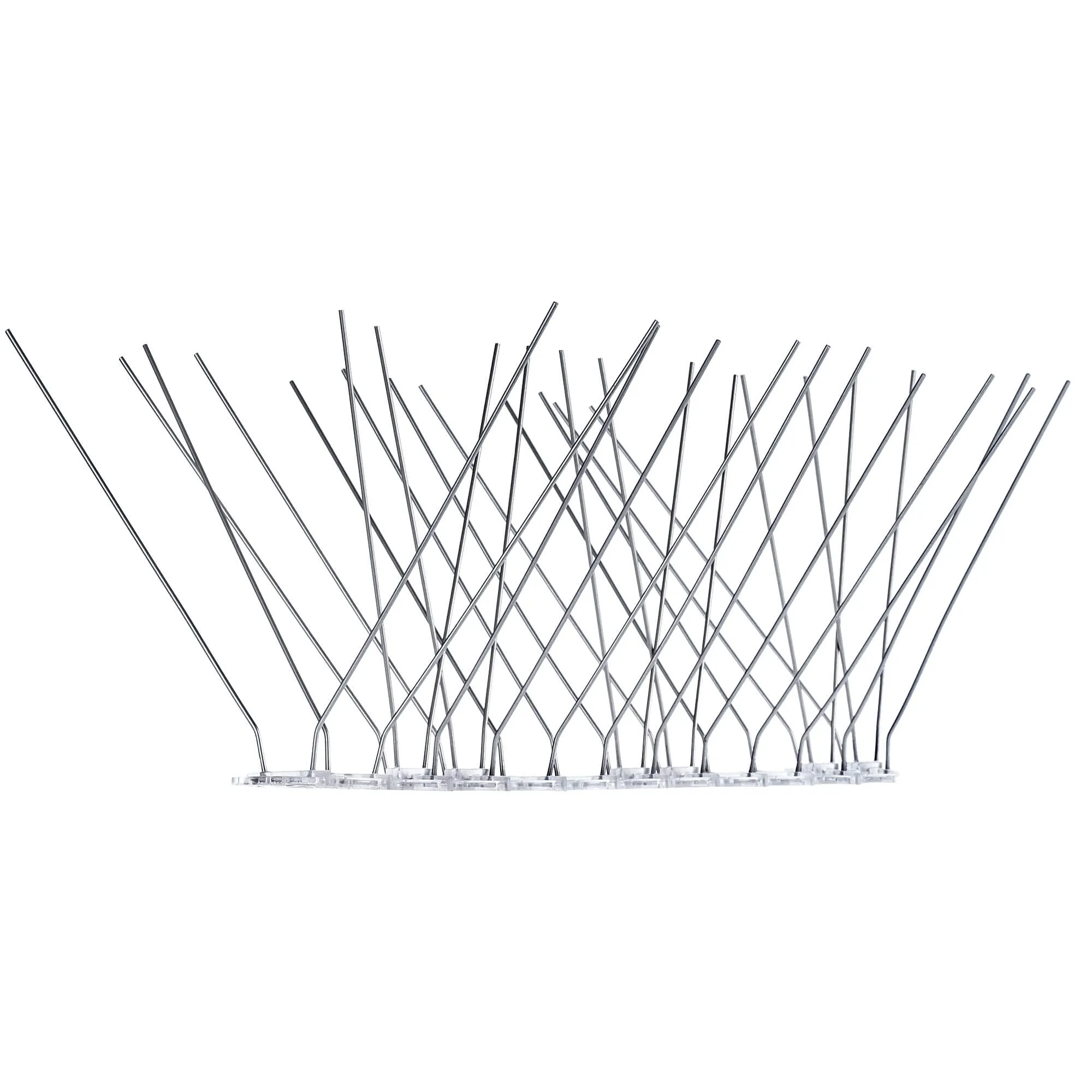 Paukščių spygliai 16 x 33 cm, 1 vnt.