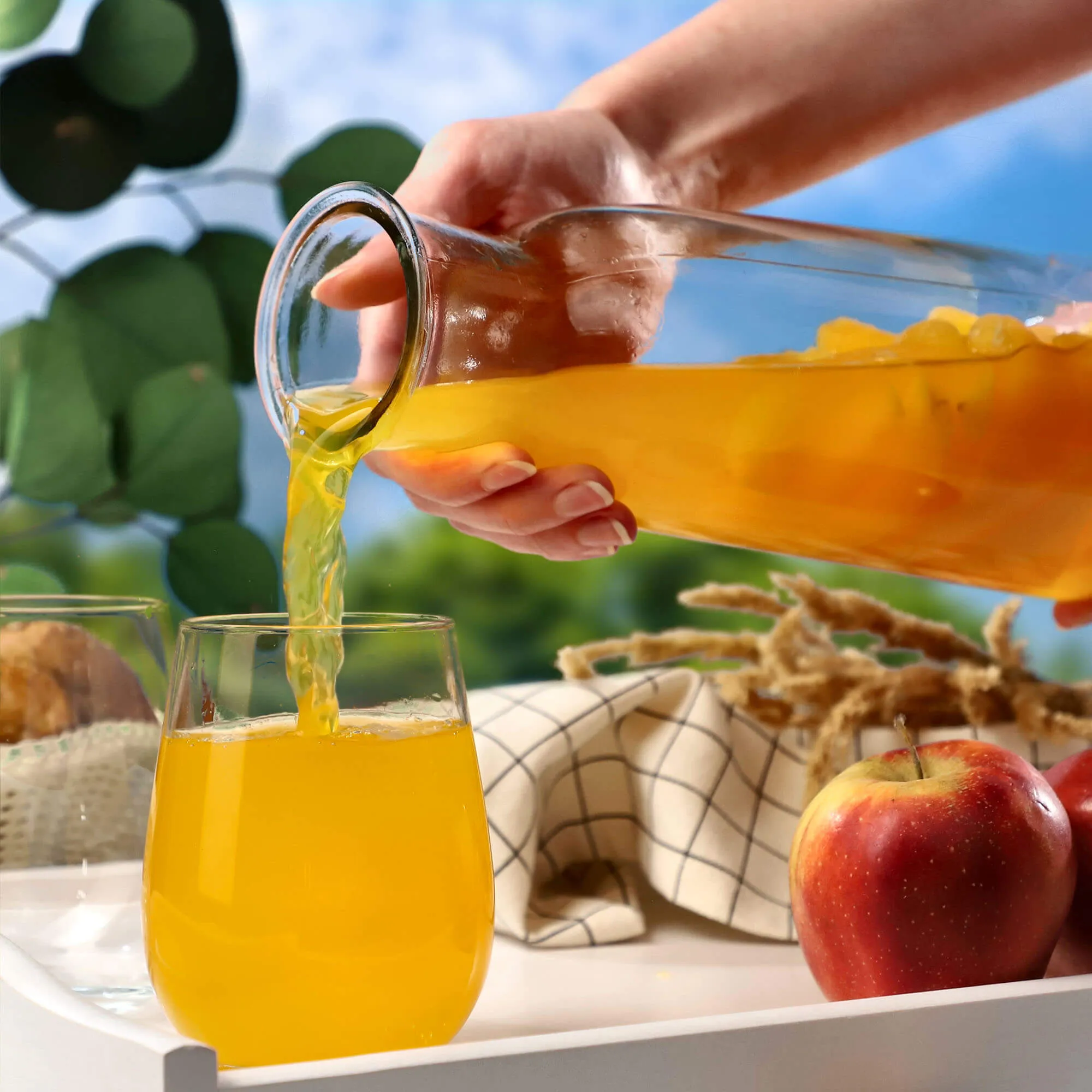 Atessa 1 l stiklinis termosas