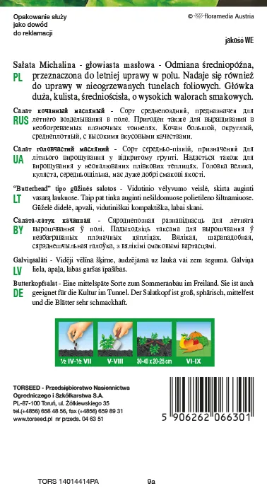 Sviestinės salotos (auginimui tuneliuose ir lauke) Michalina 2g