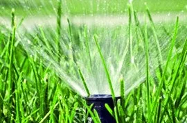 Barenbrug Universal RPR Play&Sport sportinė žolė 5 kg