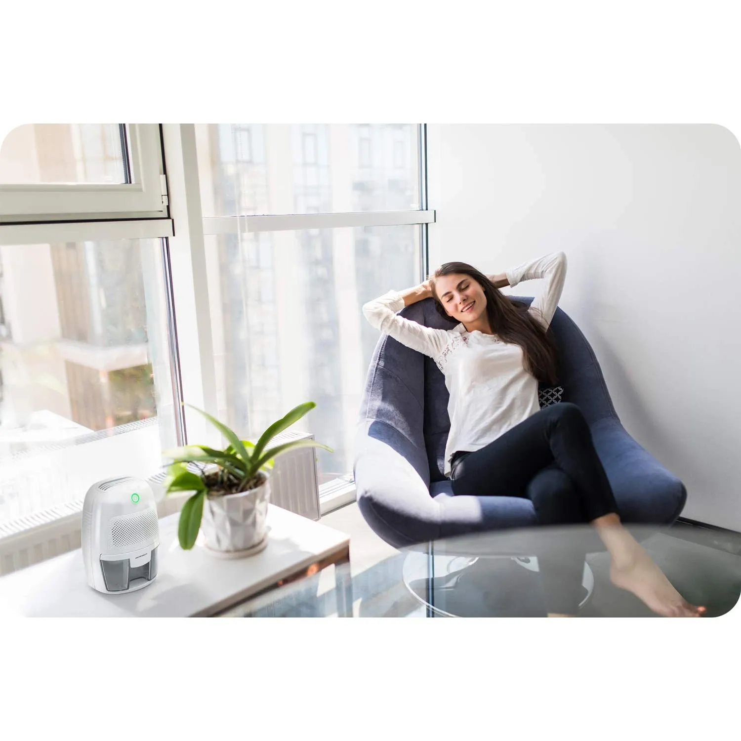 Berdsen BR-50B balto oro sausintuvas – drėgmės sugėriklis - nuotrauka 1