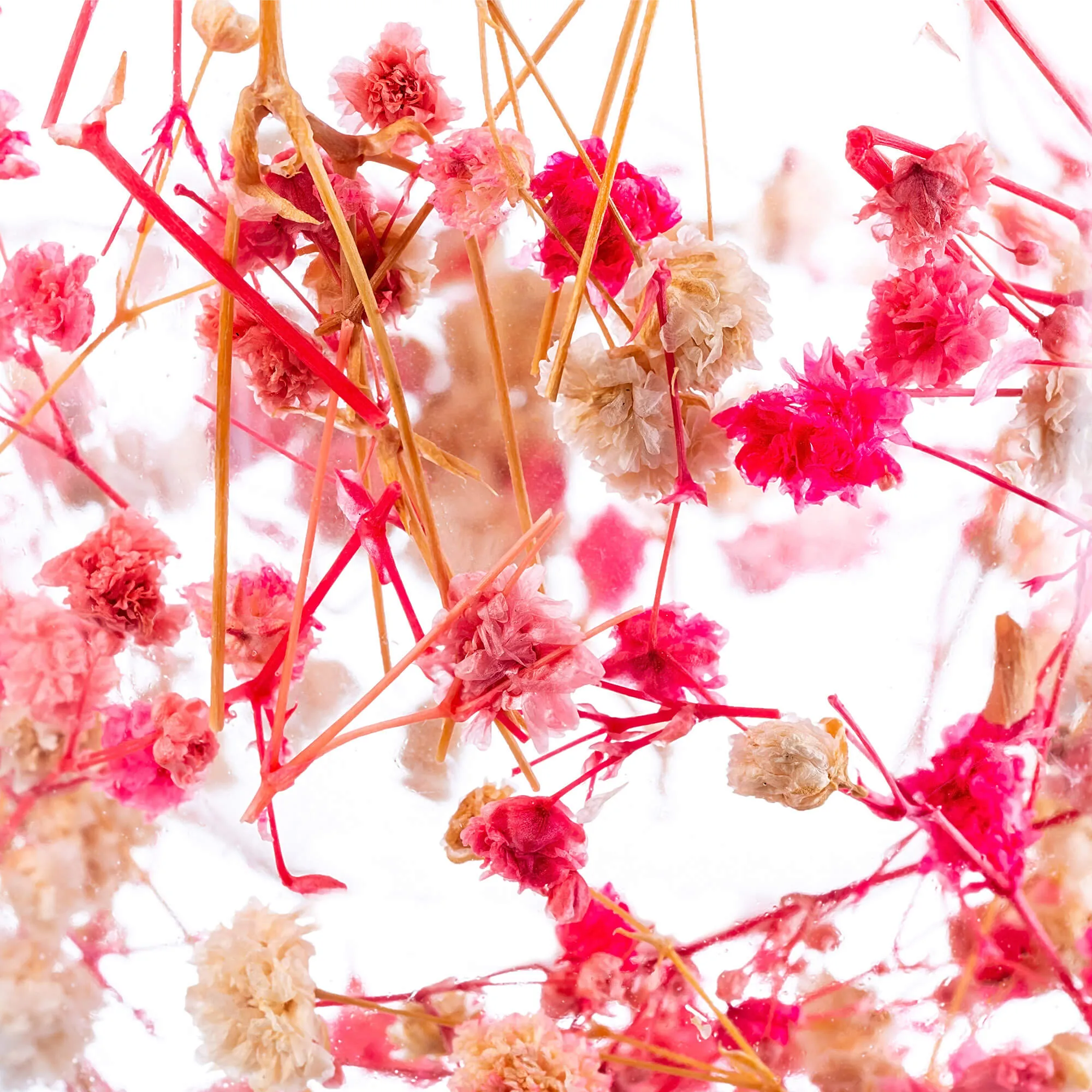 Terminis puodelis su gėlių motyvu „Riga“, 350 ml, rožinis, 4 vnt.