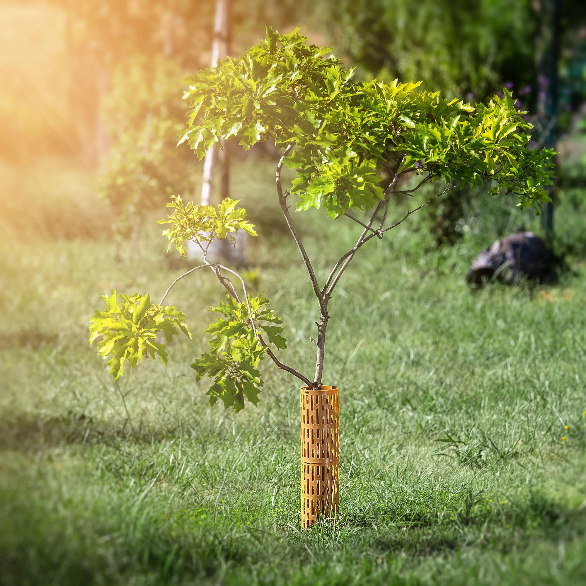 Ydes medžio kamieno uždangalai 20 x 33 cm rudi 3 vnt.