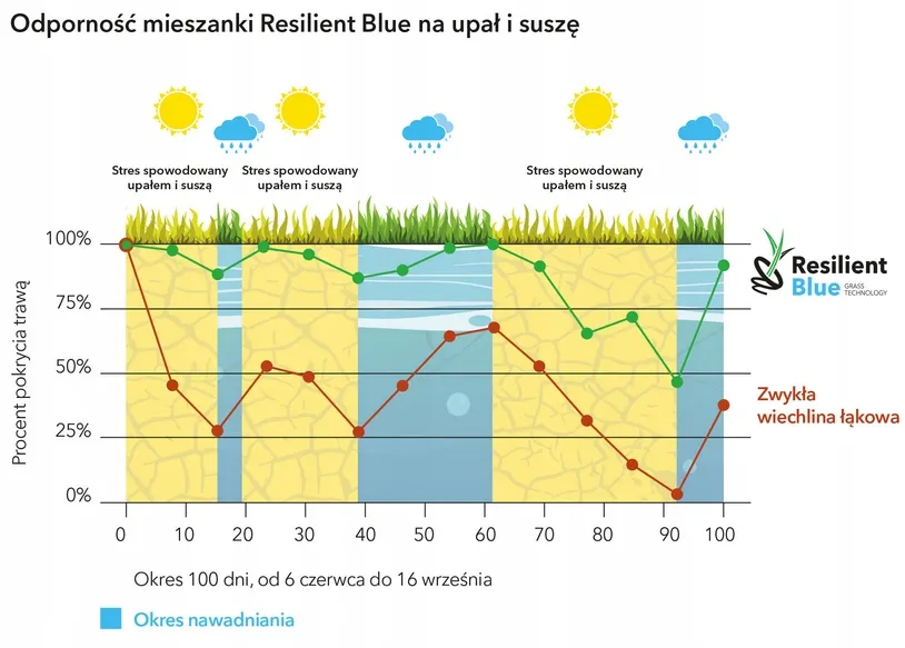 Barenbrug Resilient Blue Lawn 1 kg sausrai atspari žolė