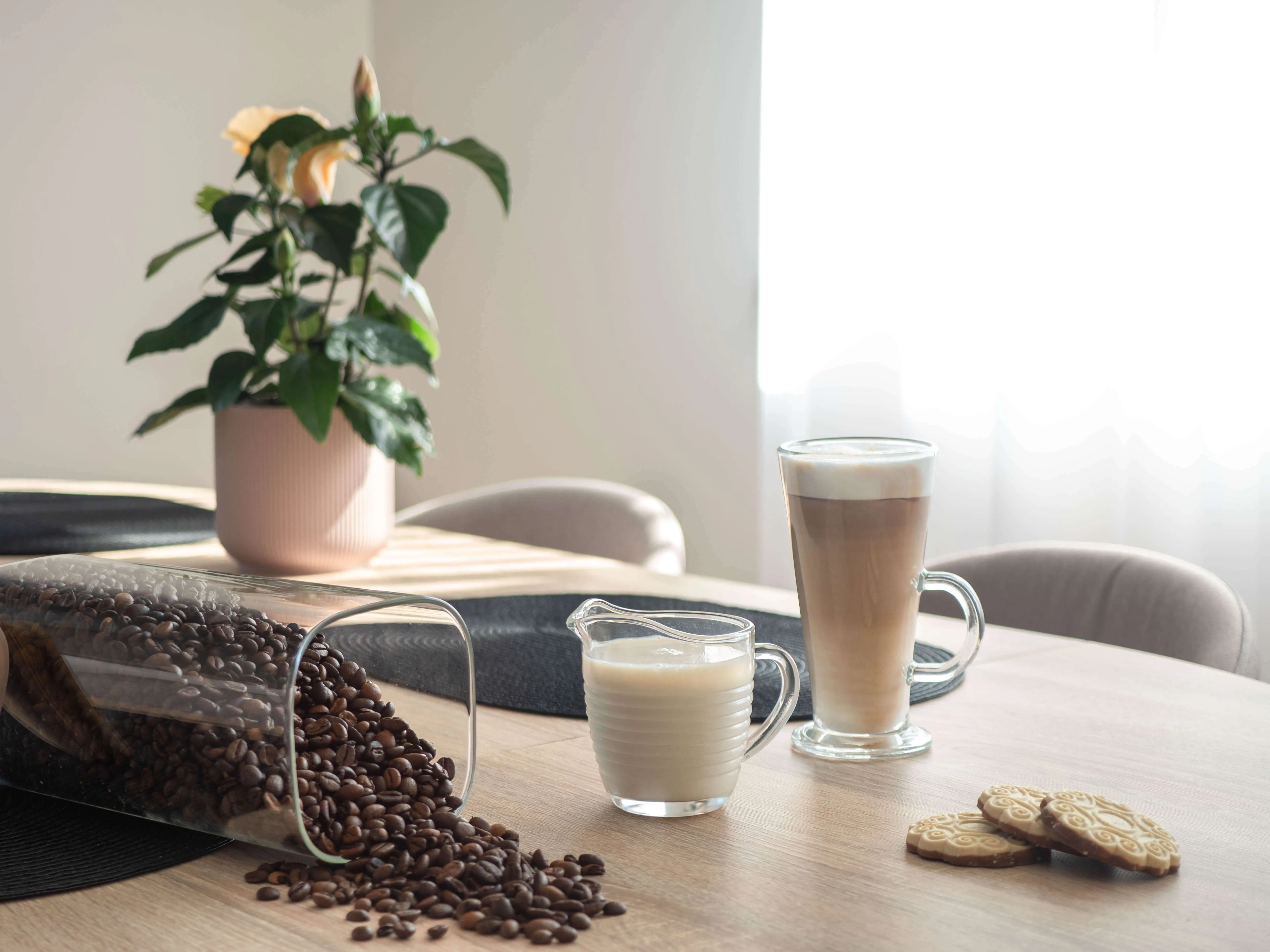 Sutri pieno ir grietinėlės ąsotis, 200 ml, juostelės