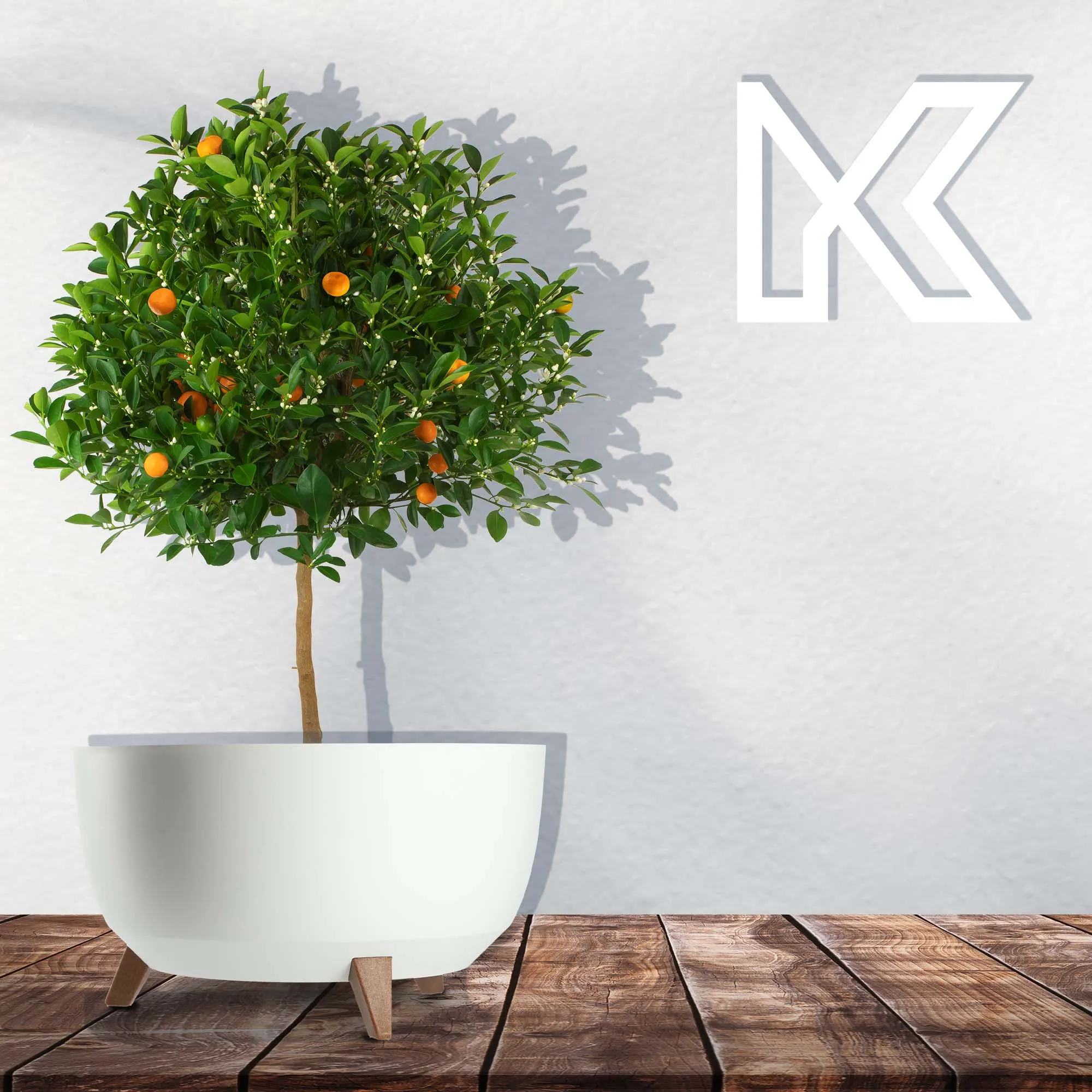 Luri gėlių dubuo su kojelėmis 47 cm