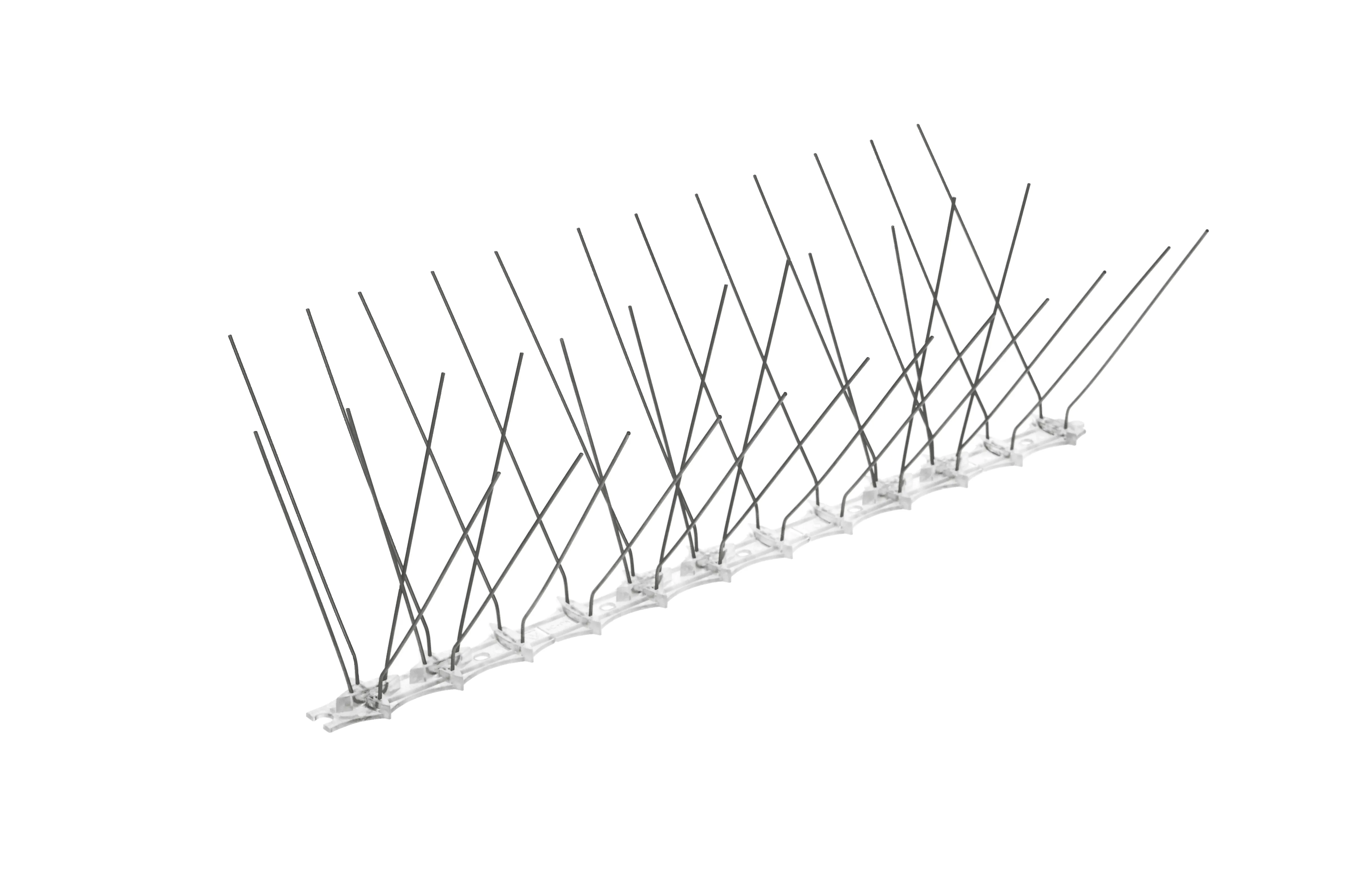 Paukščių spygliai 16 x 33 cm, 1 vnt.