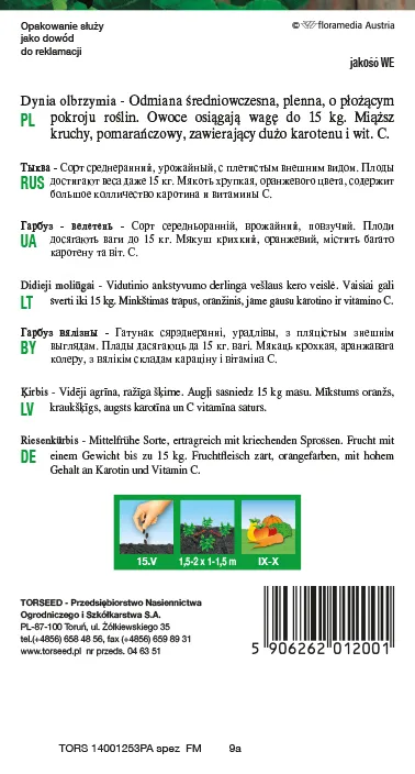 Bambino milžiniškas moliūgas 5g