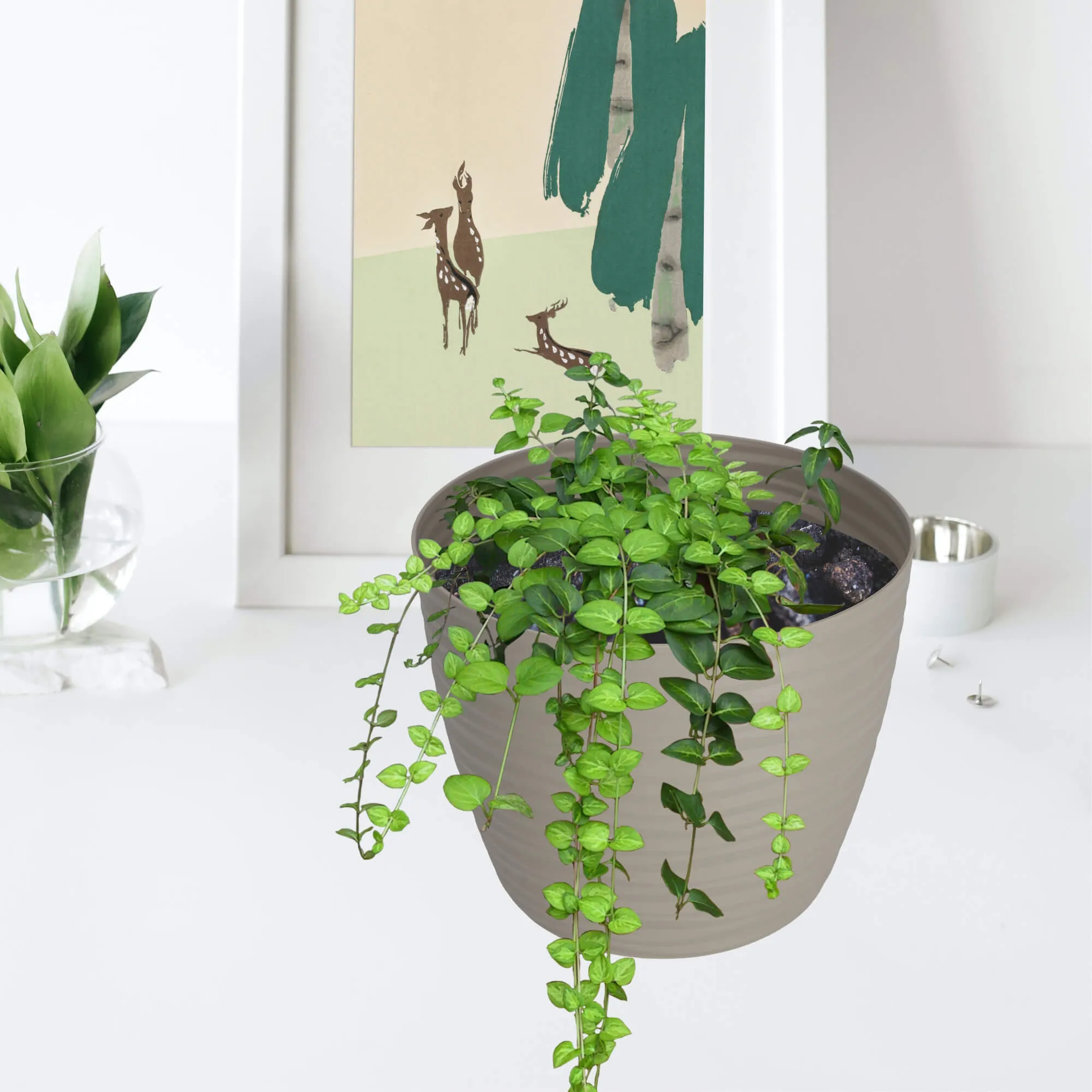 Apvalus gėlių vazonas su lėkštute 13 cm