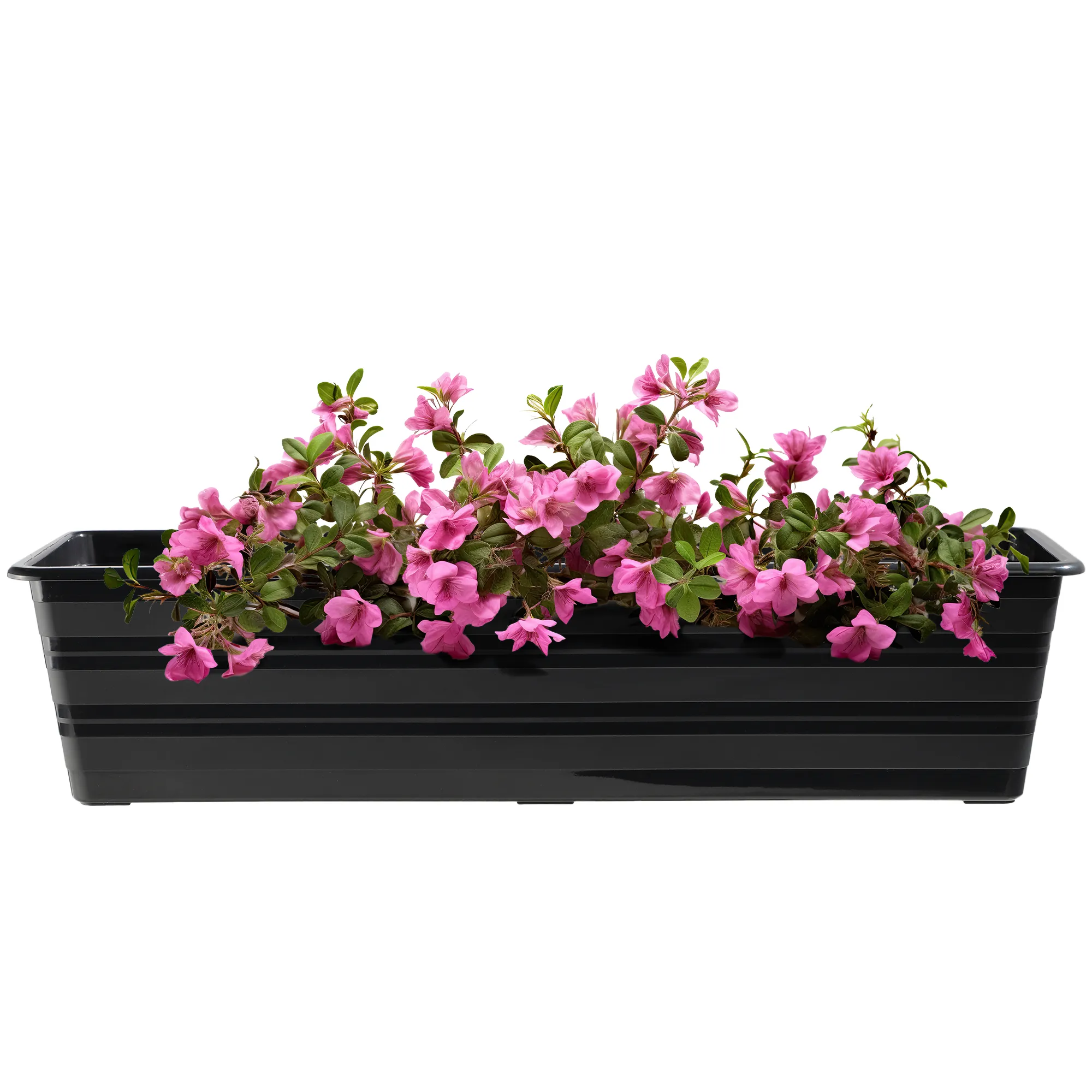 Cati balkoninis vazonas 60 cm + lėkštutė 60 cm