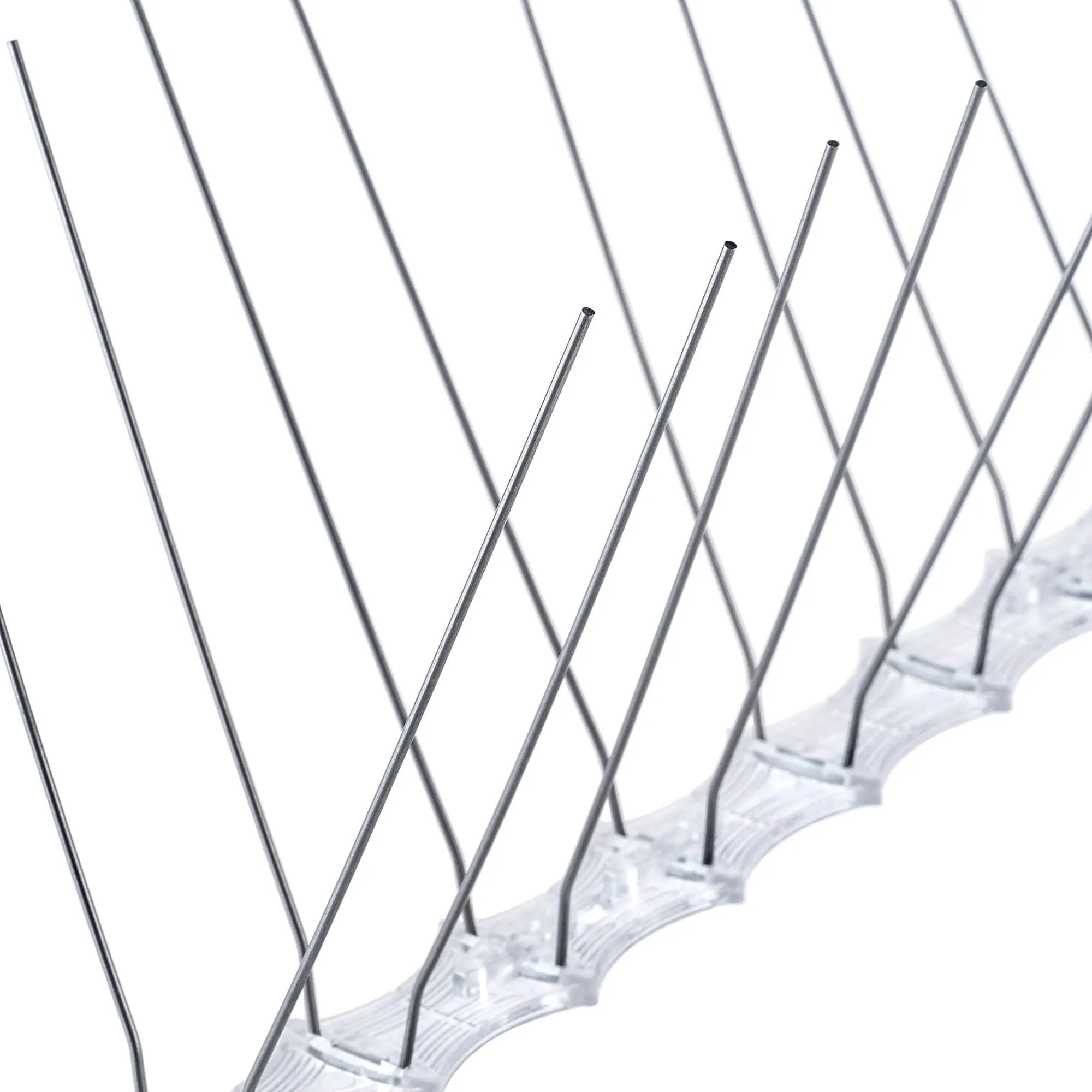 Paukščių spygliai 10 x 33 cm, 1 vnt., 24 spygliai