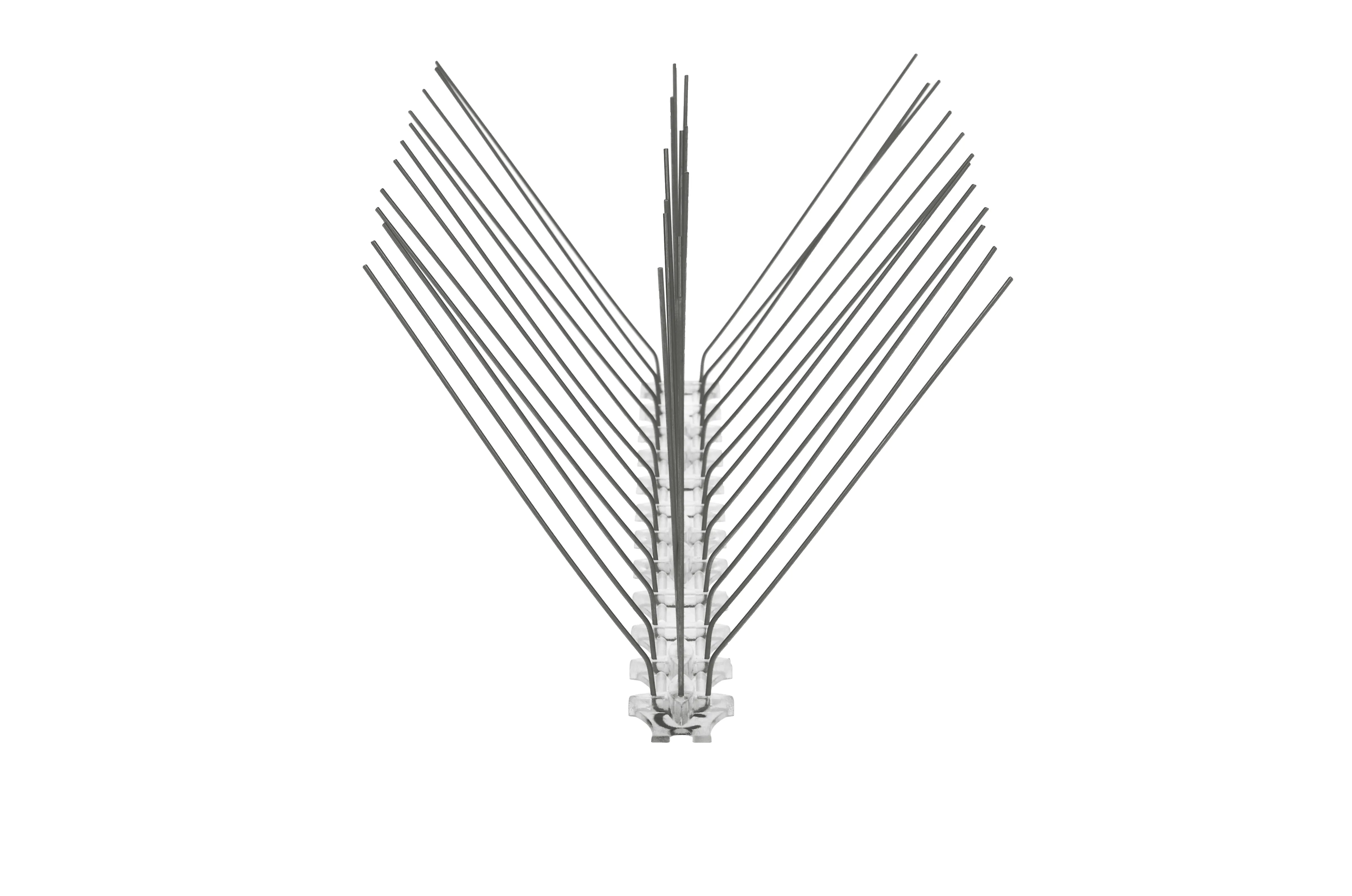 Paukščių spygliai 16 x 33 cm, 1 vnt.