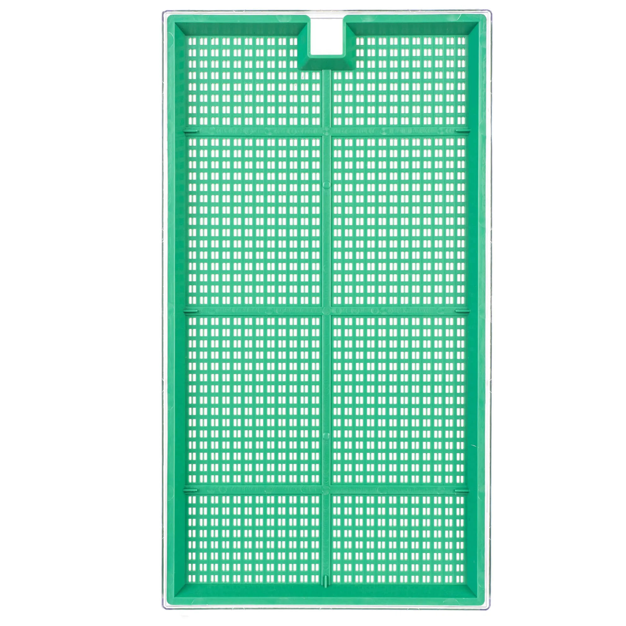 Clion daiginimo įrenginys didelis 27 x 15 cm žalias