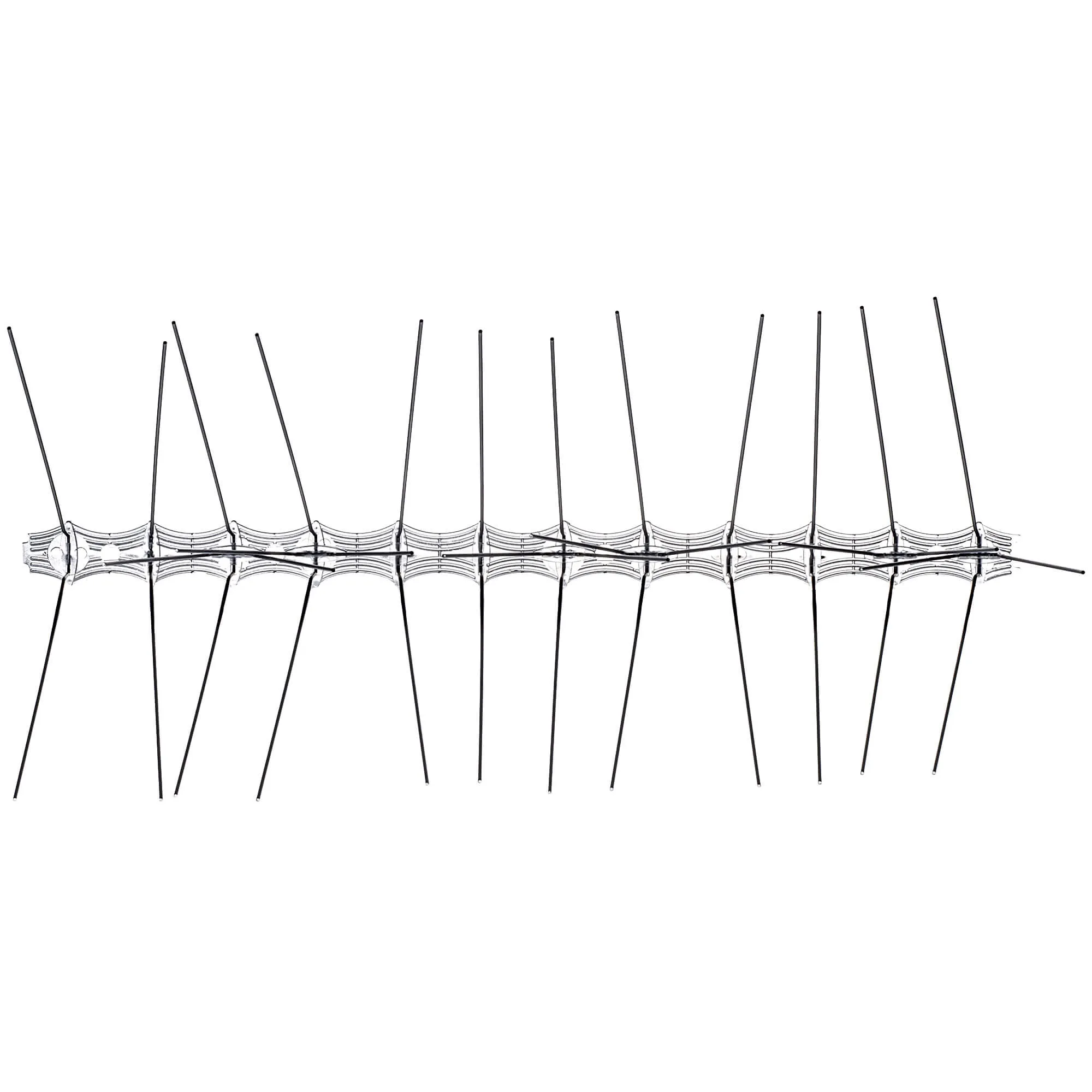 Paukščių spygliai 16 x 33 cm, 1 vnt.