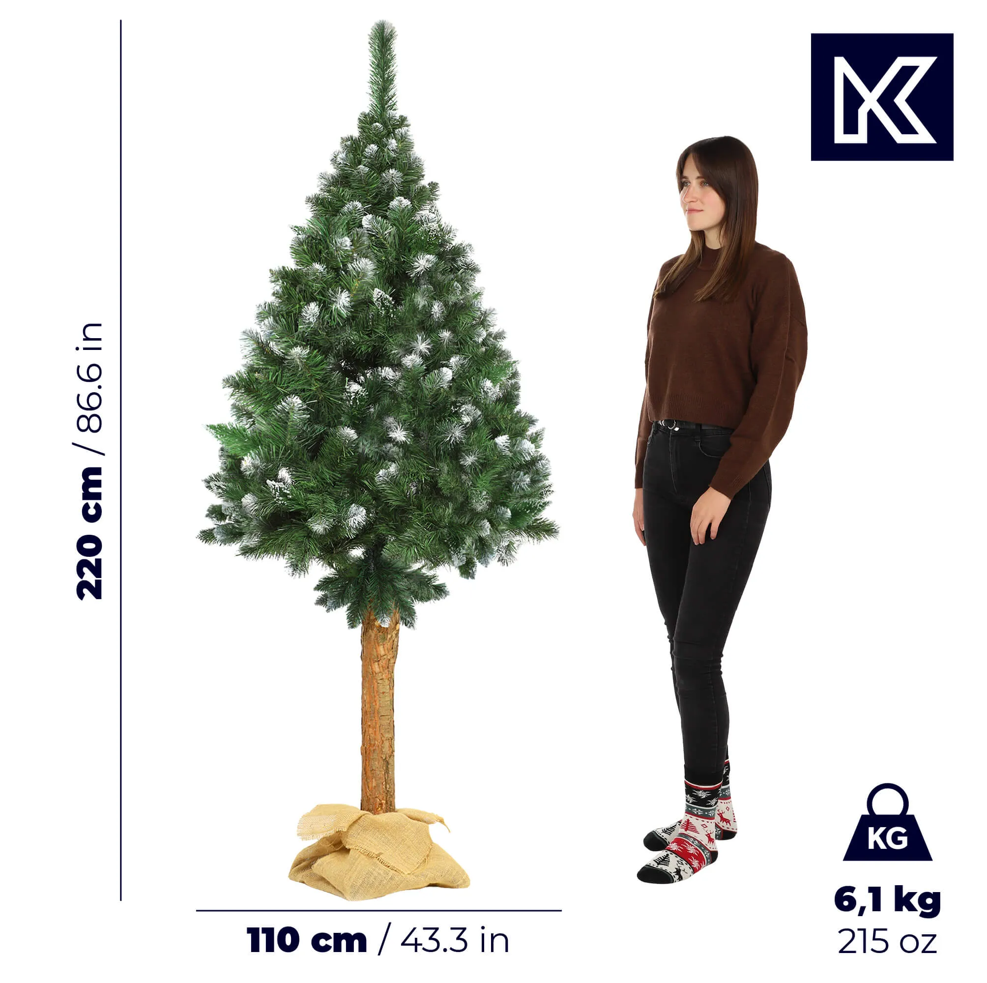 Kalėdinė eglutė ant kelmo, deimantinė pušis Roana 220 cm