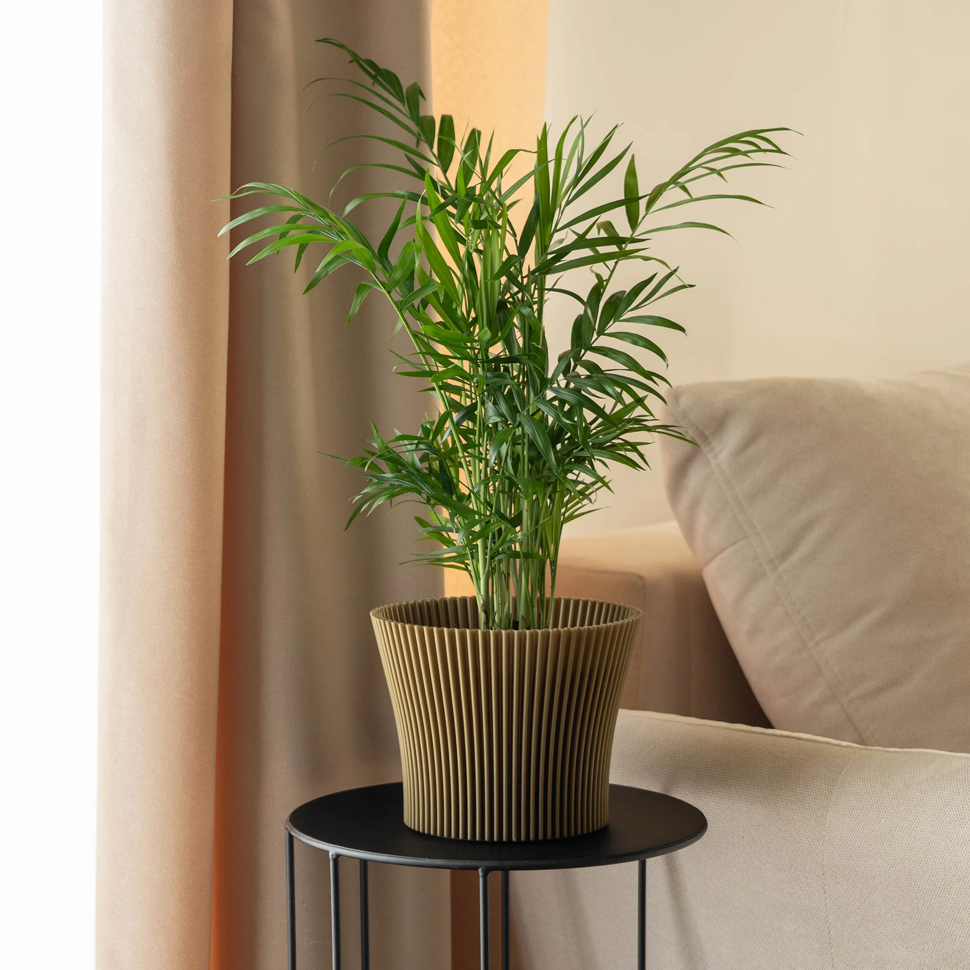 Estrela gėlių vazonas 16 cm